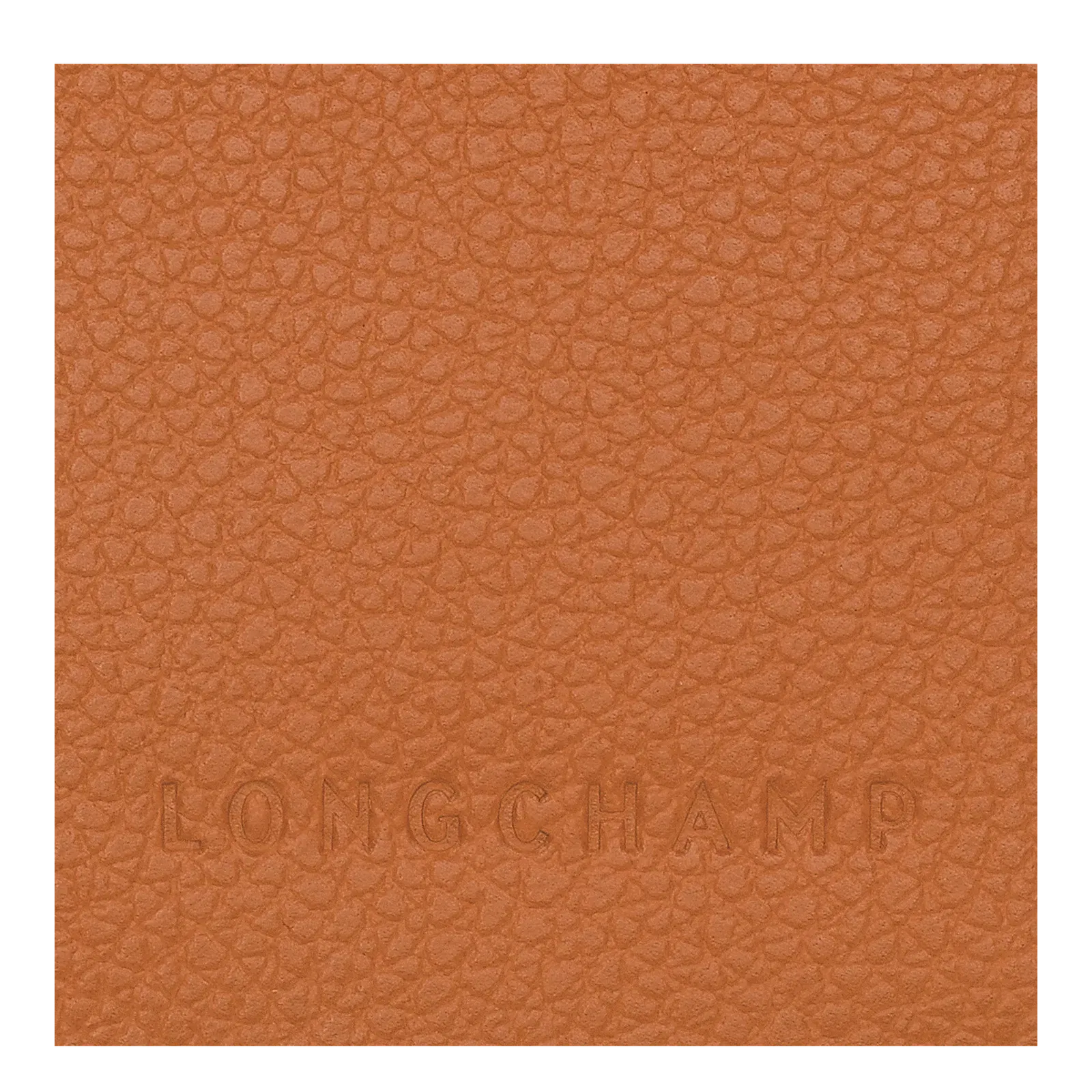Longchamp Le Foulonné Passport cover Amber