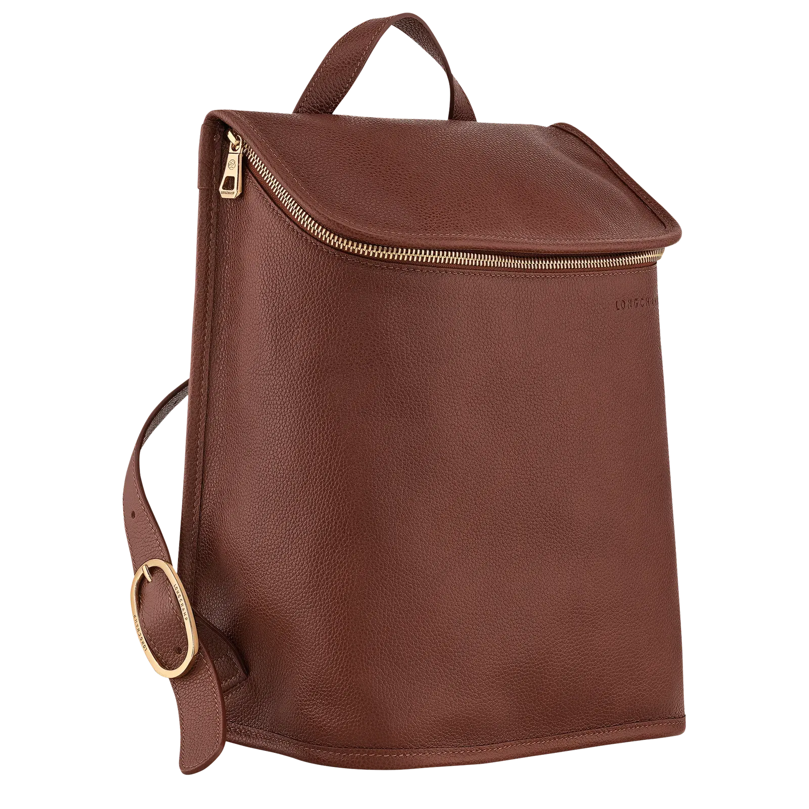 Longchamp Le Foulonné M Backpack Coffee