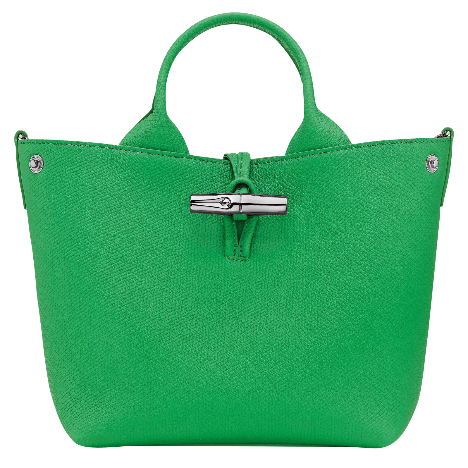 Longchamp Le Roseau S Handbag Spring Green