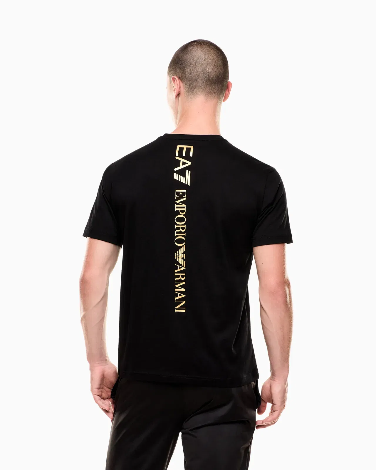 EA7 Logo t-shirt in cotton jersey with back print Logo Series
