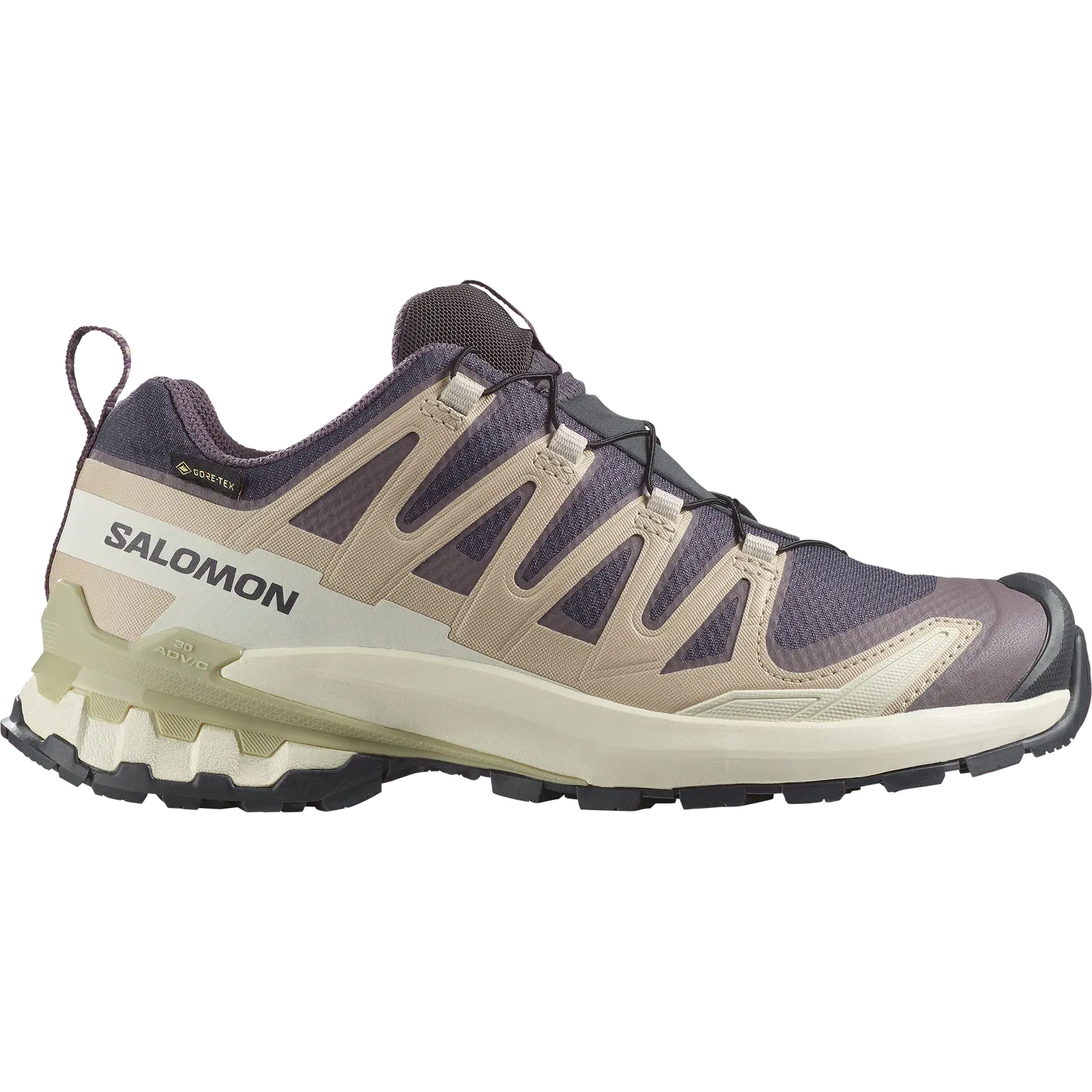 Salomon Xa Pro 3D V9 Gore-Tex Trail Running Shoes Womens Nine Iron