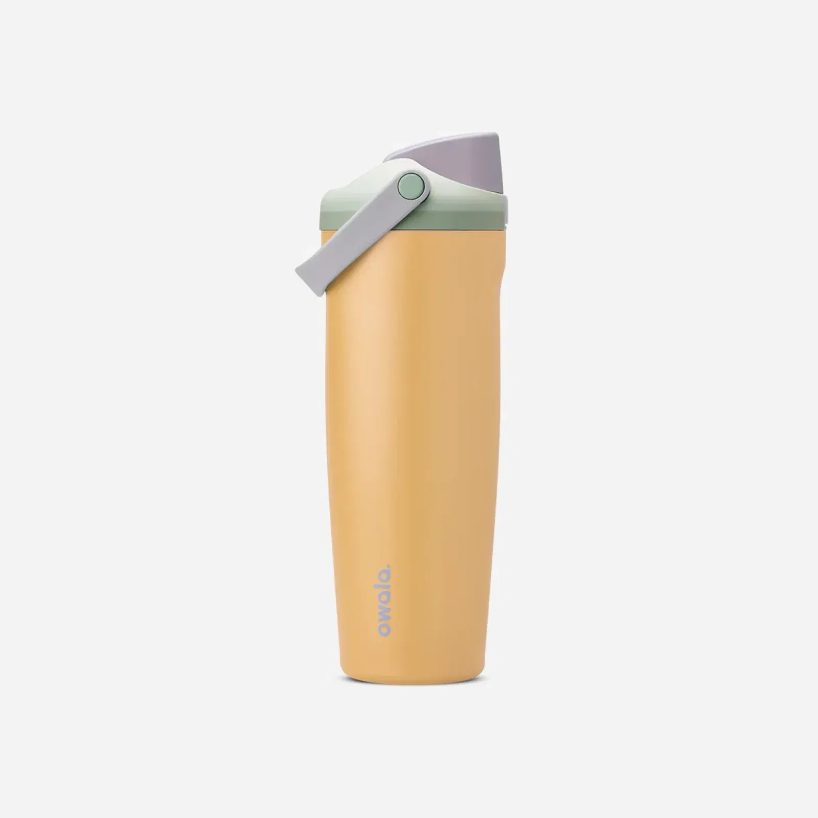Owala FreeSip Sway 30oz Stainless Steel Water Bottle Beachfront