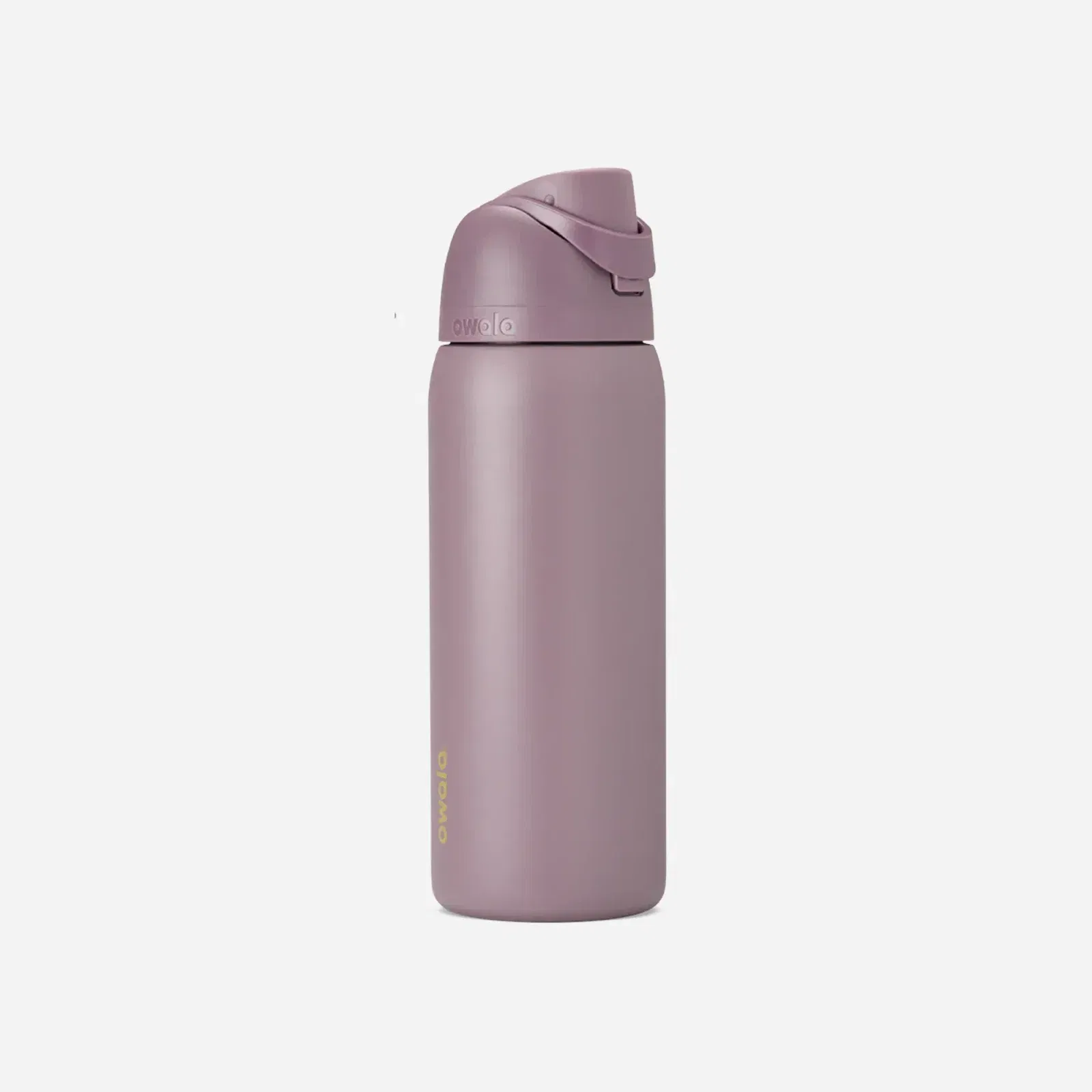 Owala FreeSip 32oz Stainless Steel Water Bottle Spring Revival