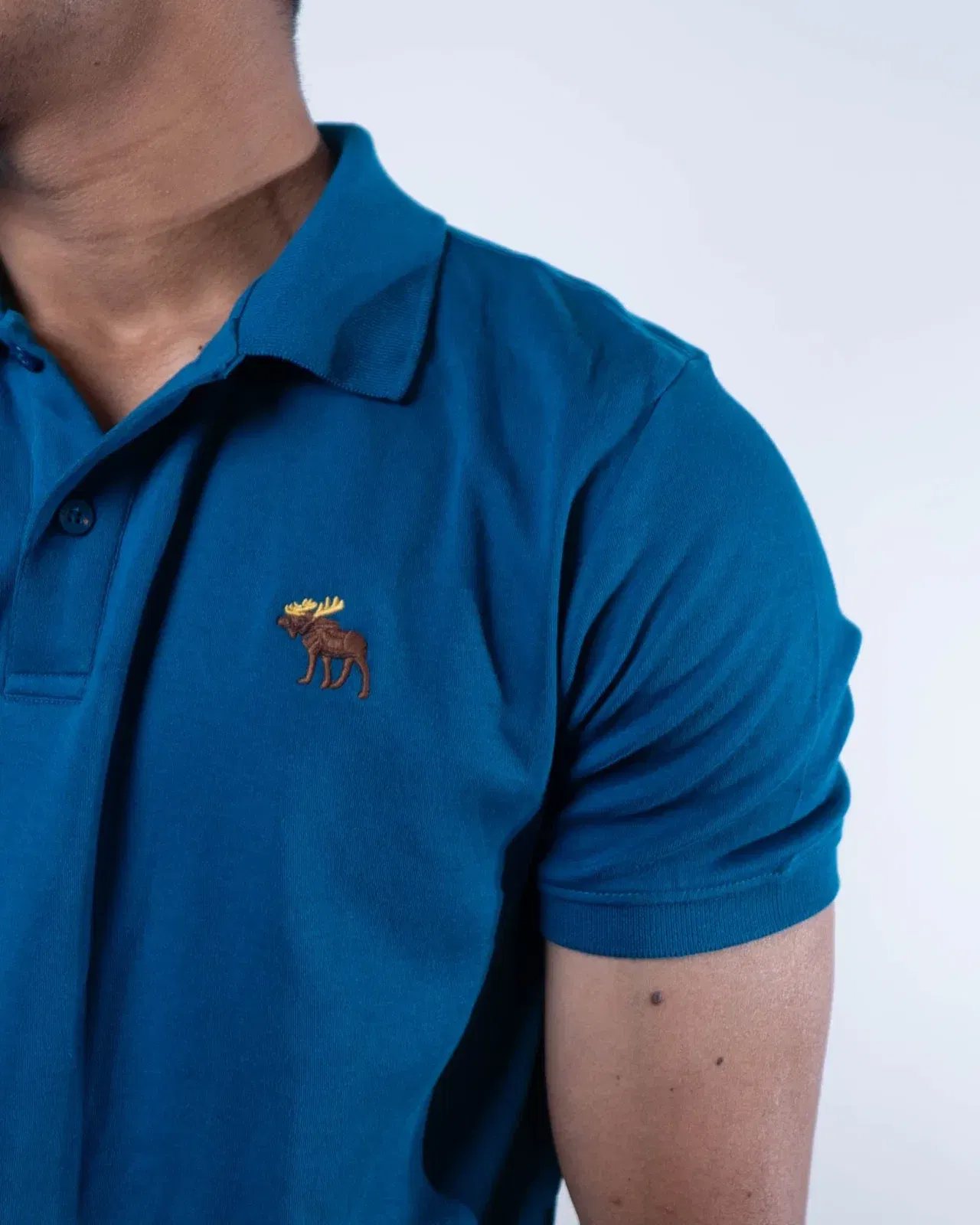 Abercrombie & Fitch Tonal Icon Don't Sweat it Polo T-Shirt - Teal (S)