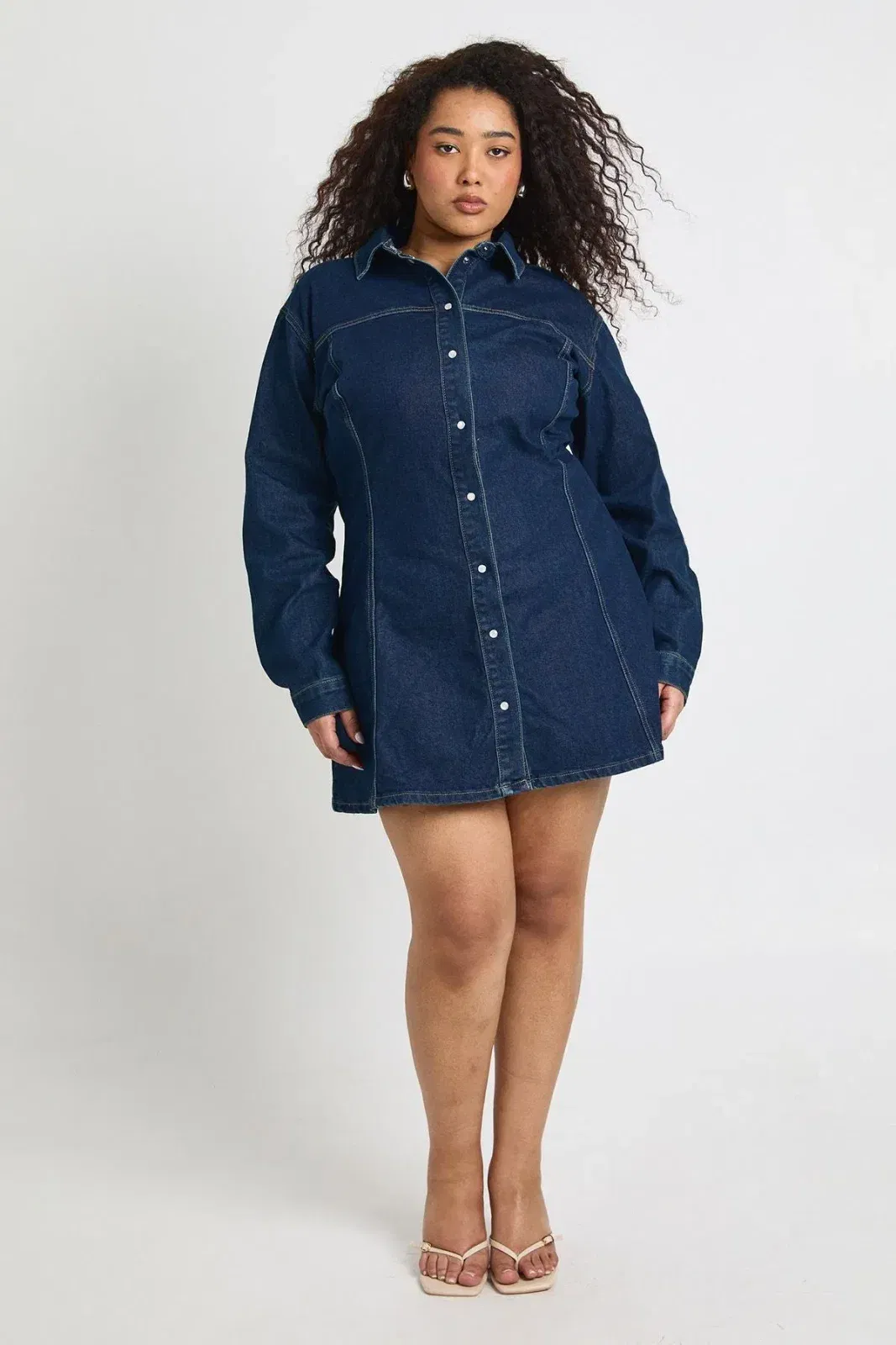 Plus Denim Cinched Button Down Skater Dress