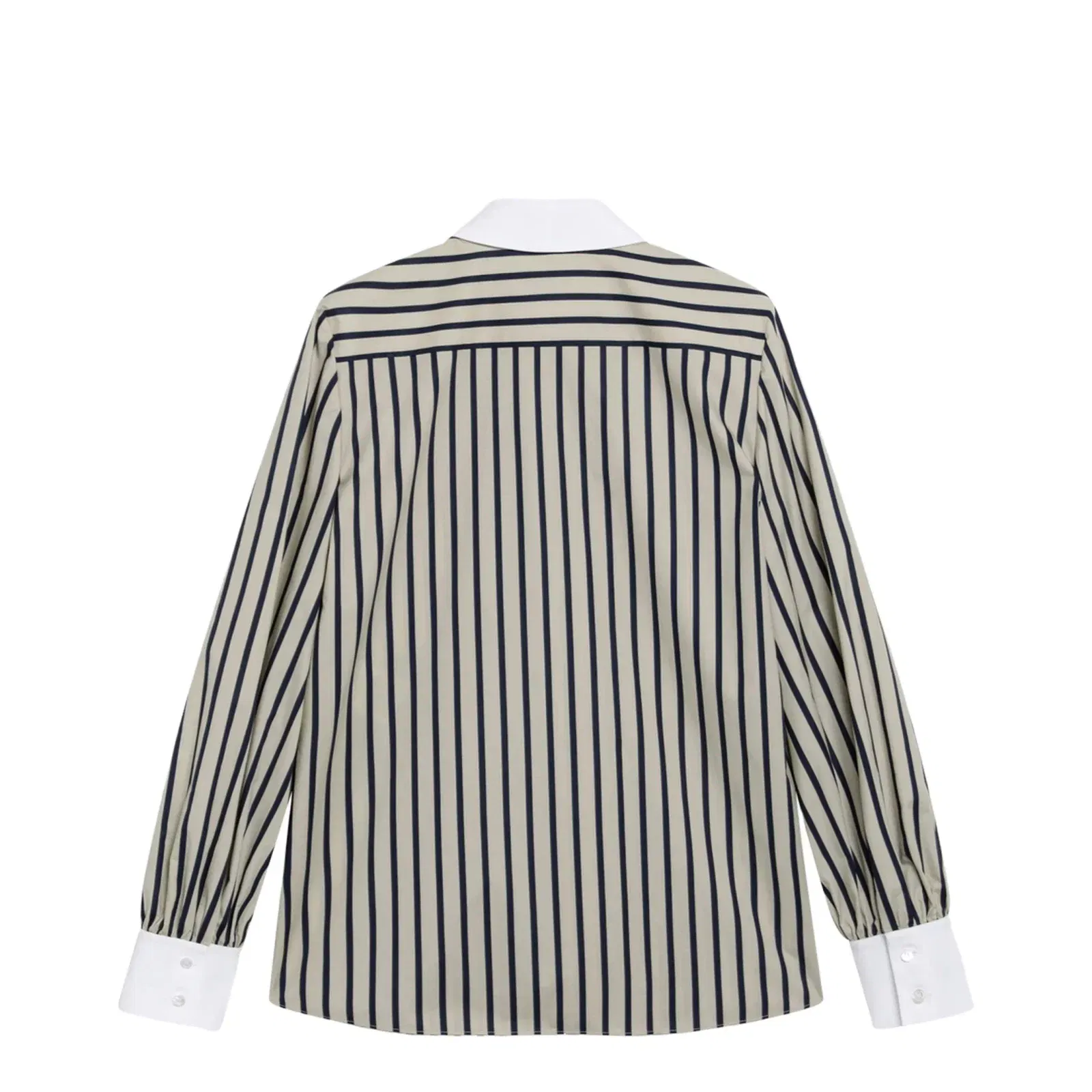 Striped Cotton Shirt With Scarf In Beige And Blue