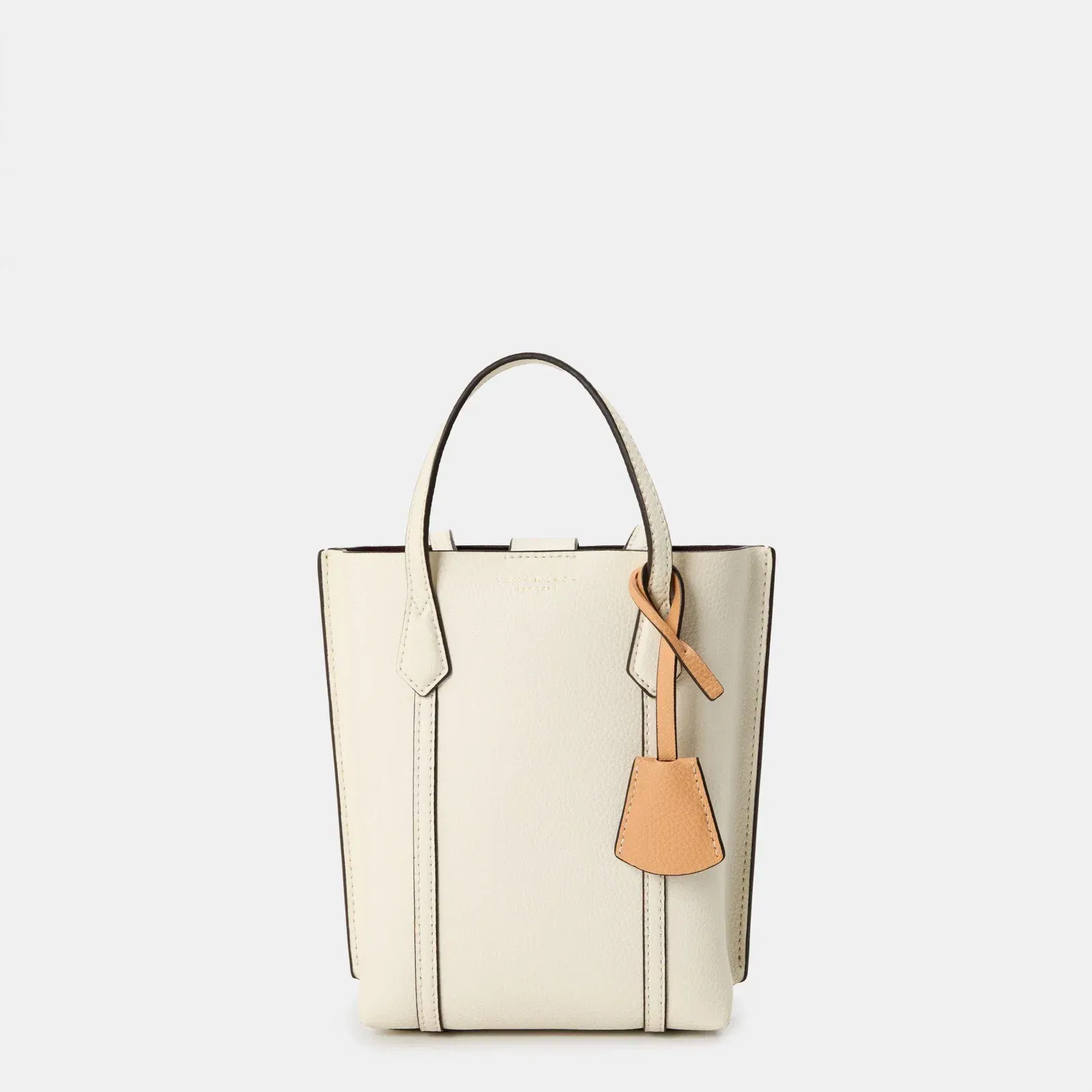 Mini Tote Bag