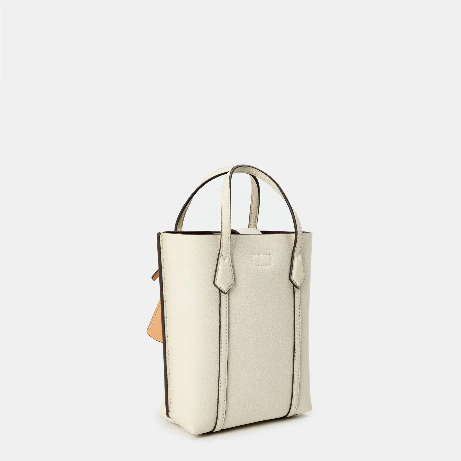 Mini Tote Bag