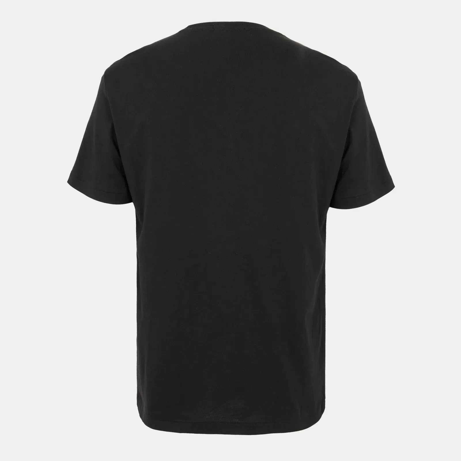Ski Bear Embroidered T-Shirt