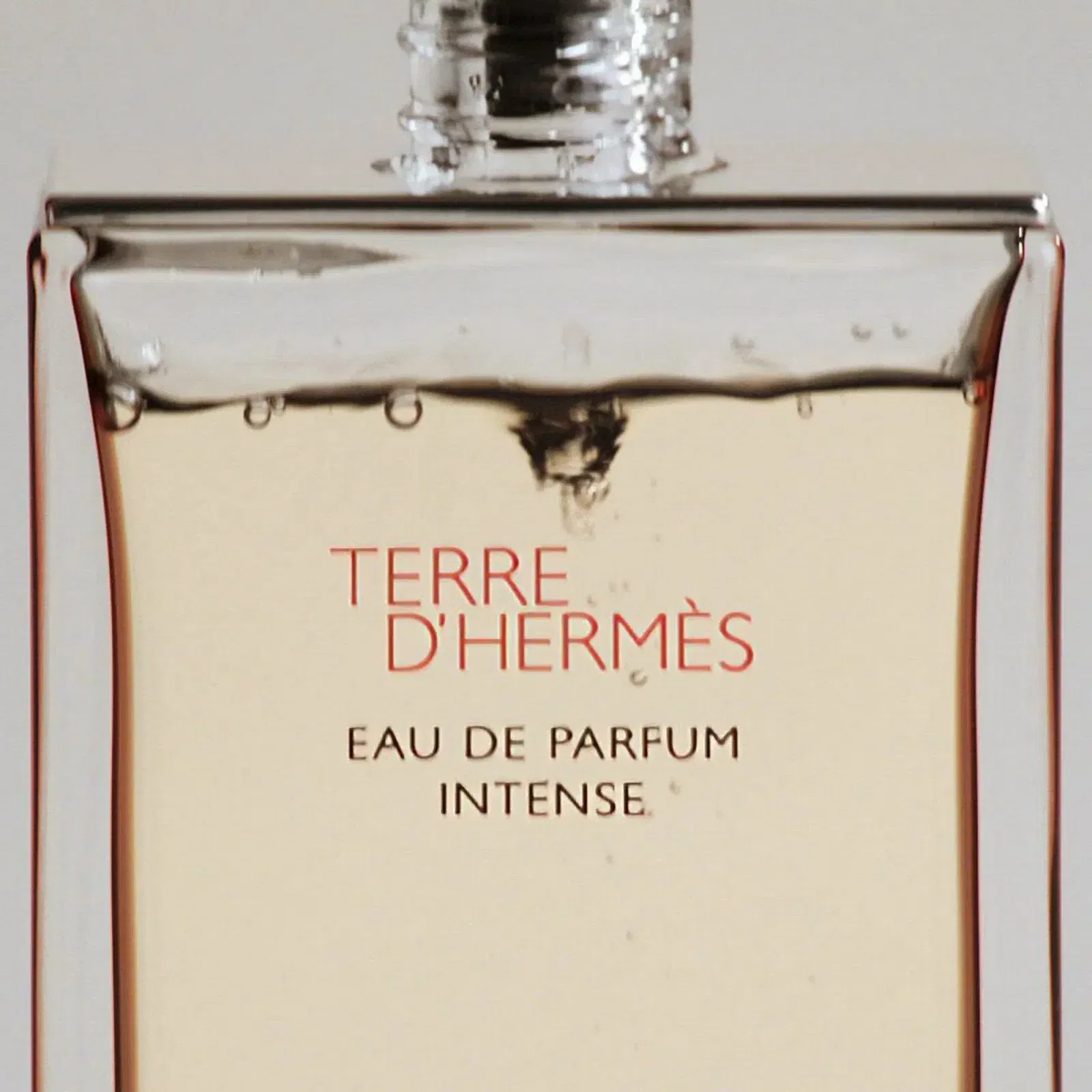 Hermes Terre D'Herms Eau De Parfum Intense Refill