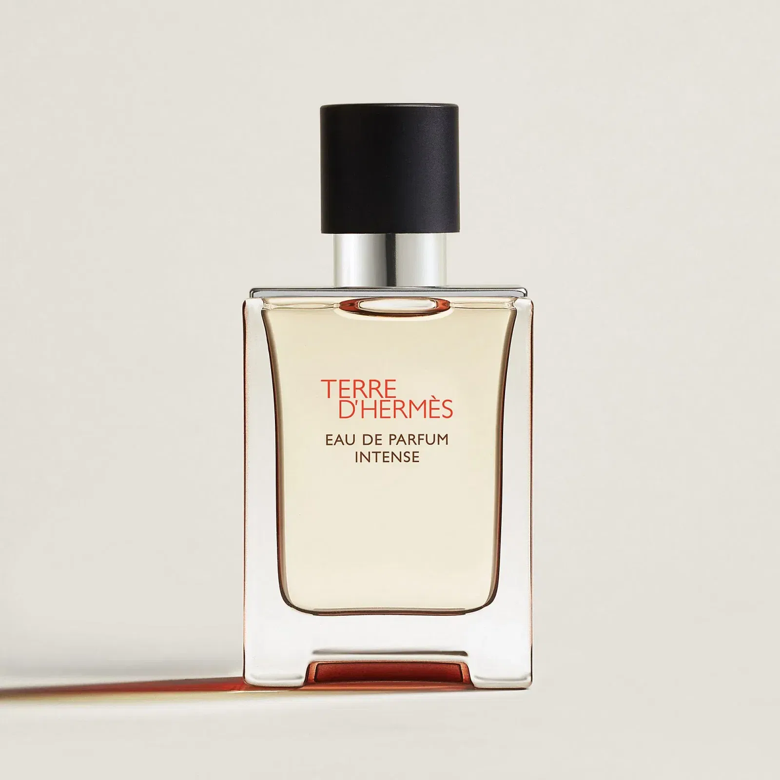 Hermes Terre D'Herms Eau De Parfum Intense