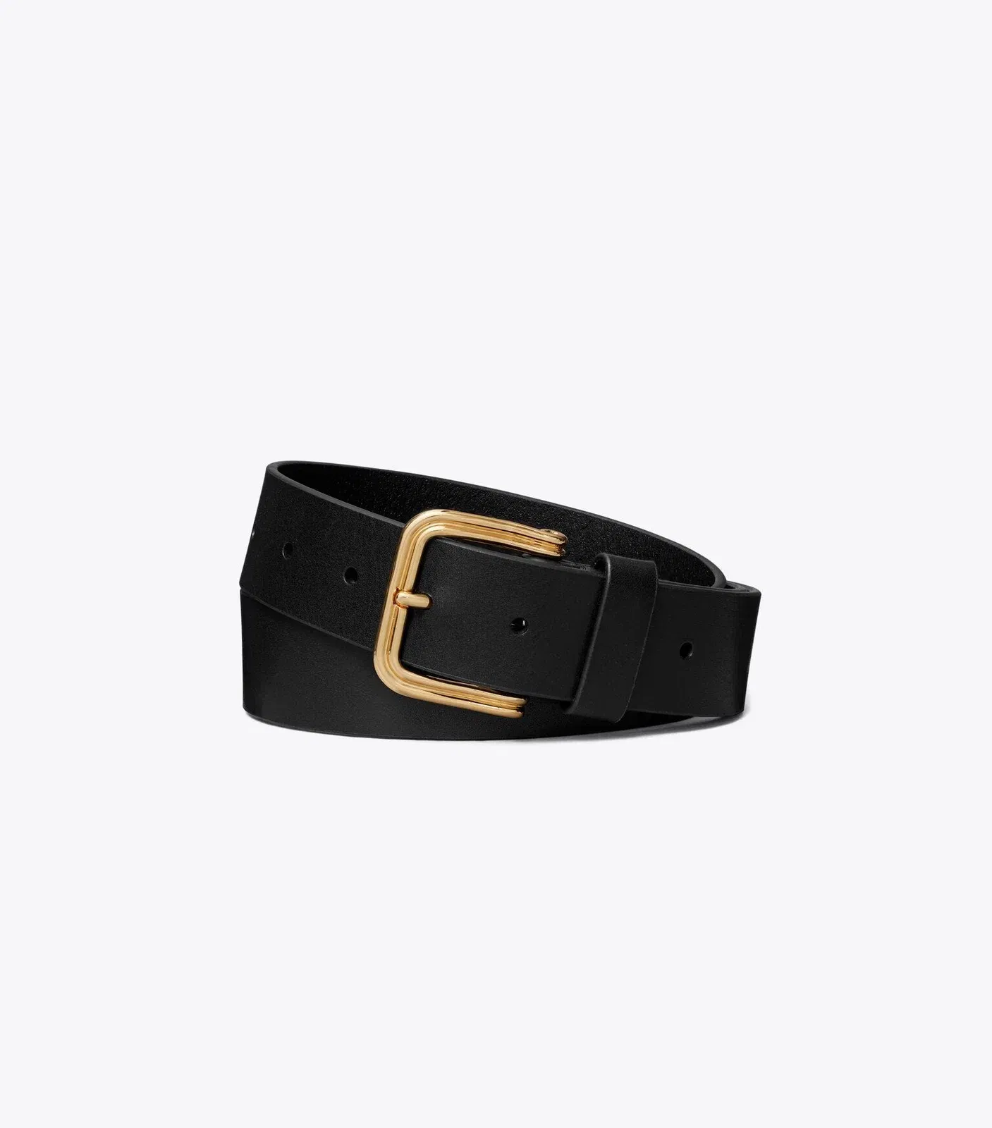 Double Wire Buckle Belt