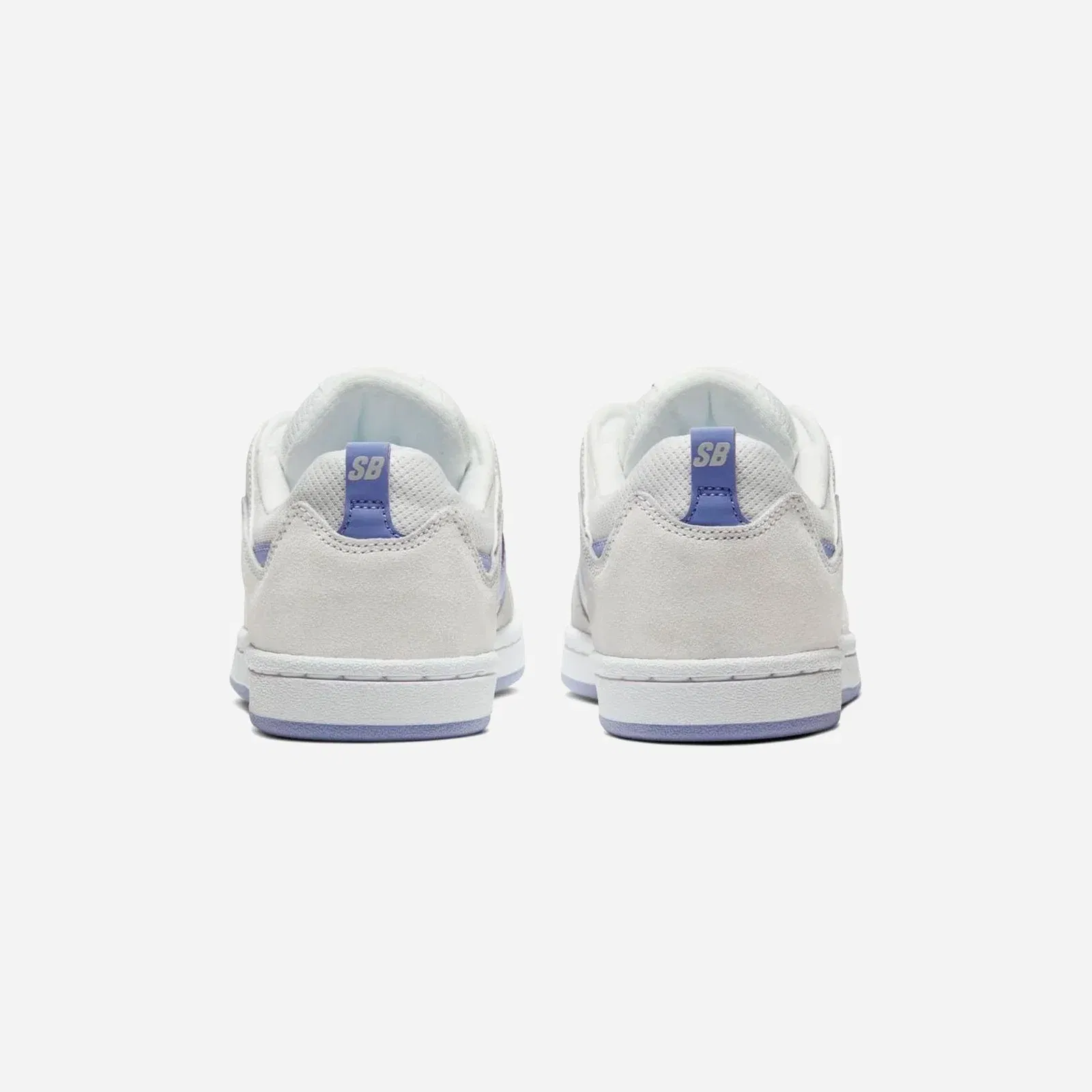 Nike SB Alleyoop Summit White Blue WMNS