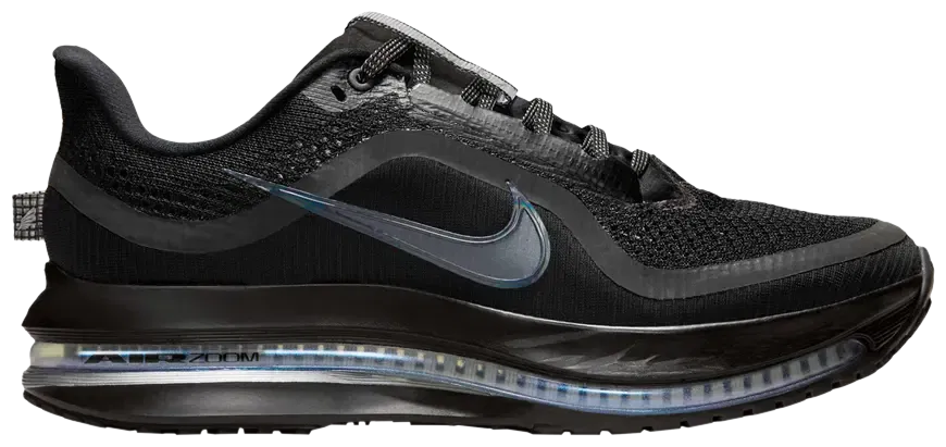 Nike Wmns Pegasus Premium 'Black Metallic Silver'