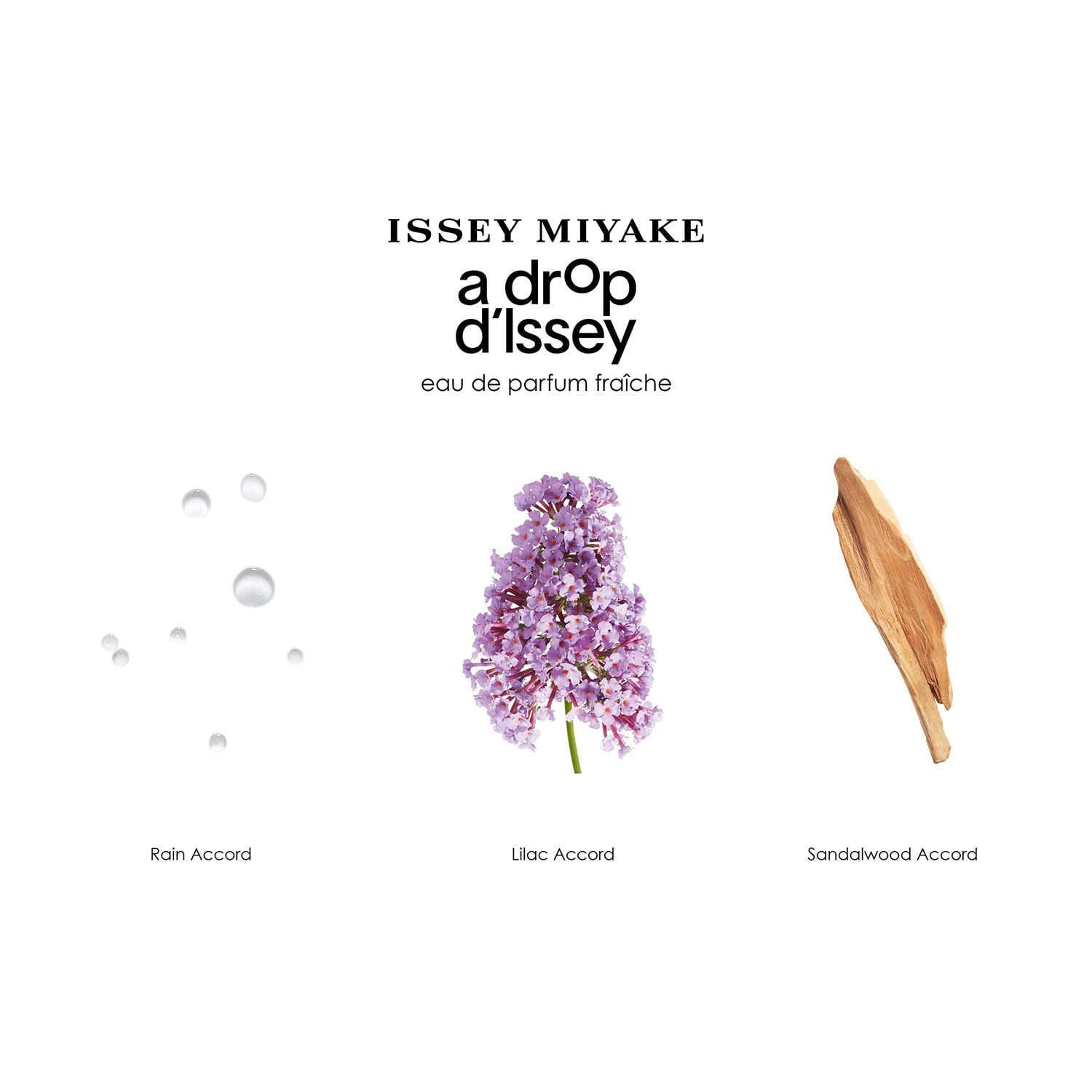Issey Miyake A Drop d'Issey EDP Fraiche (90 ml) - Issey Miyake