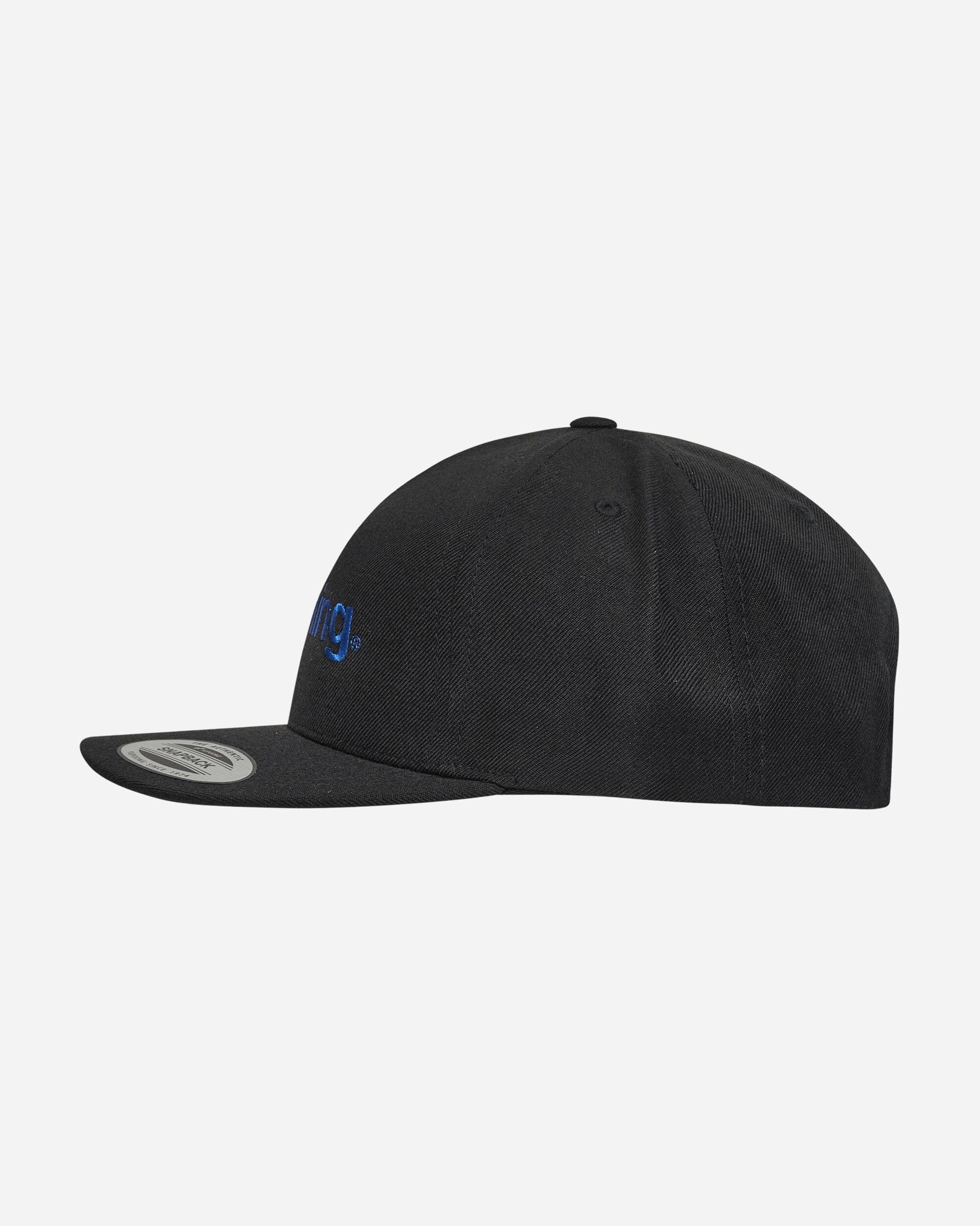 aNYthing Speedball Logo Hat Black