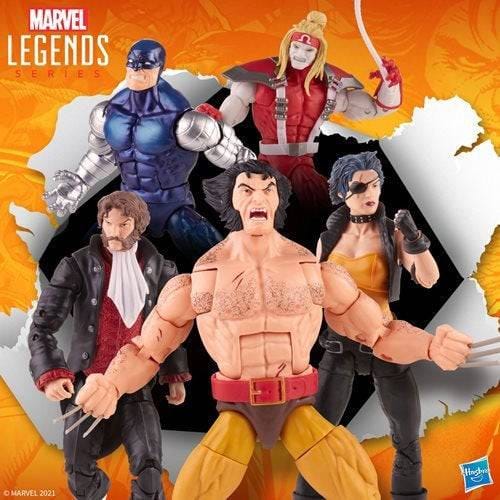 Hasbro Wolverine Marvel Legends Series 6-Inch Action Figure 5-Pack