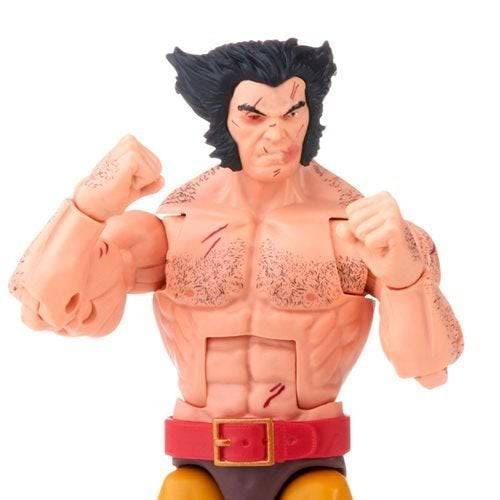 Hasbro Wolverine Marvel Legends Series 6-Inch Action Figure 5-Pack