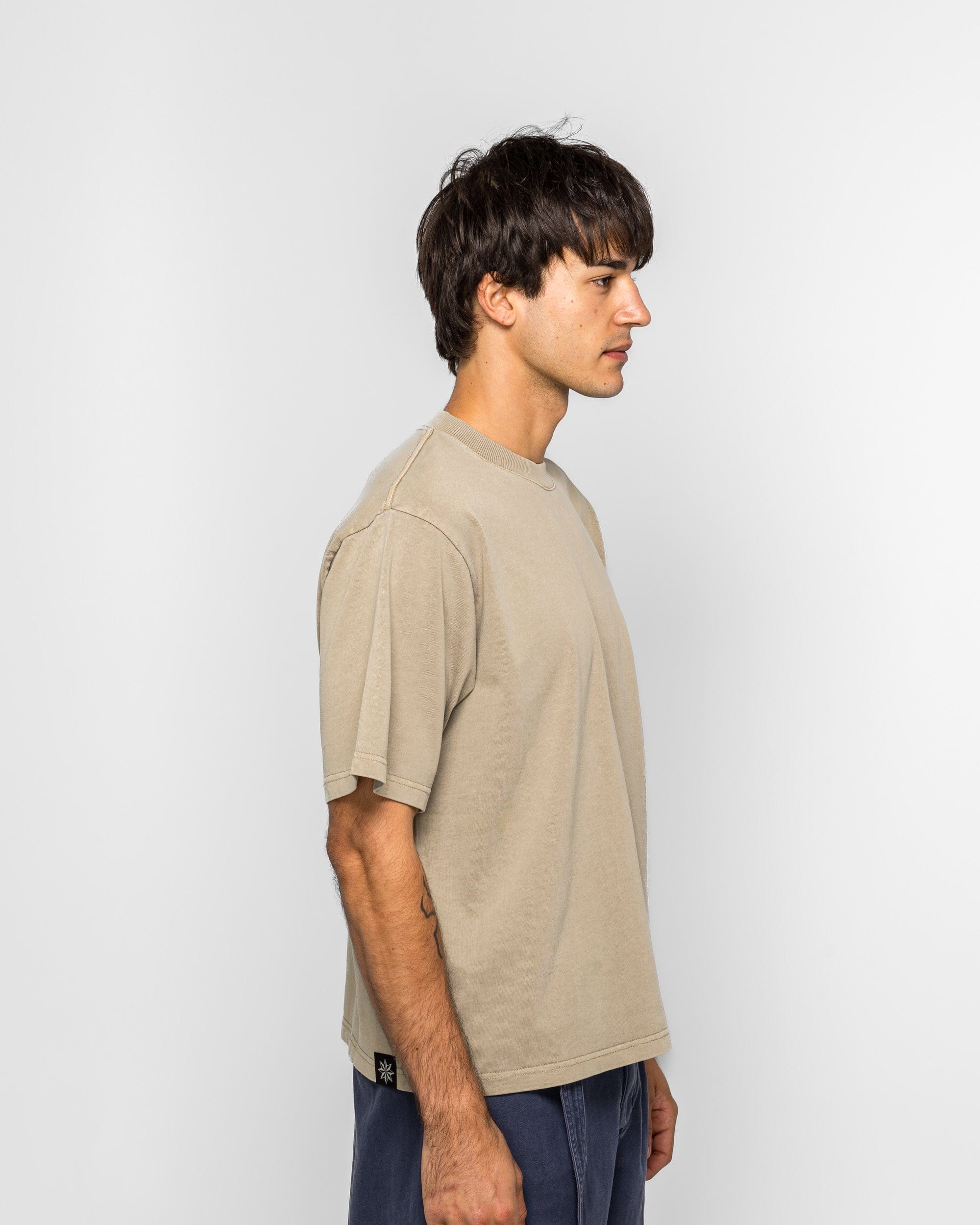 Beach Brains Dream Tee - Desert