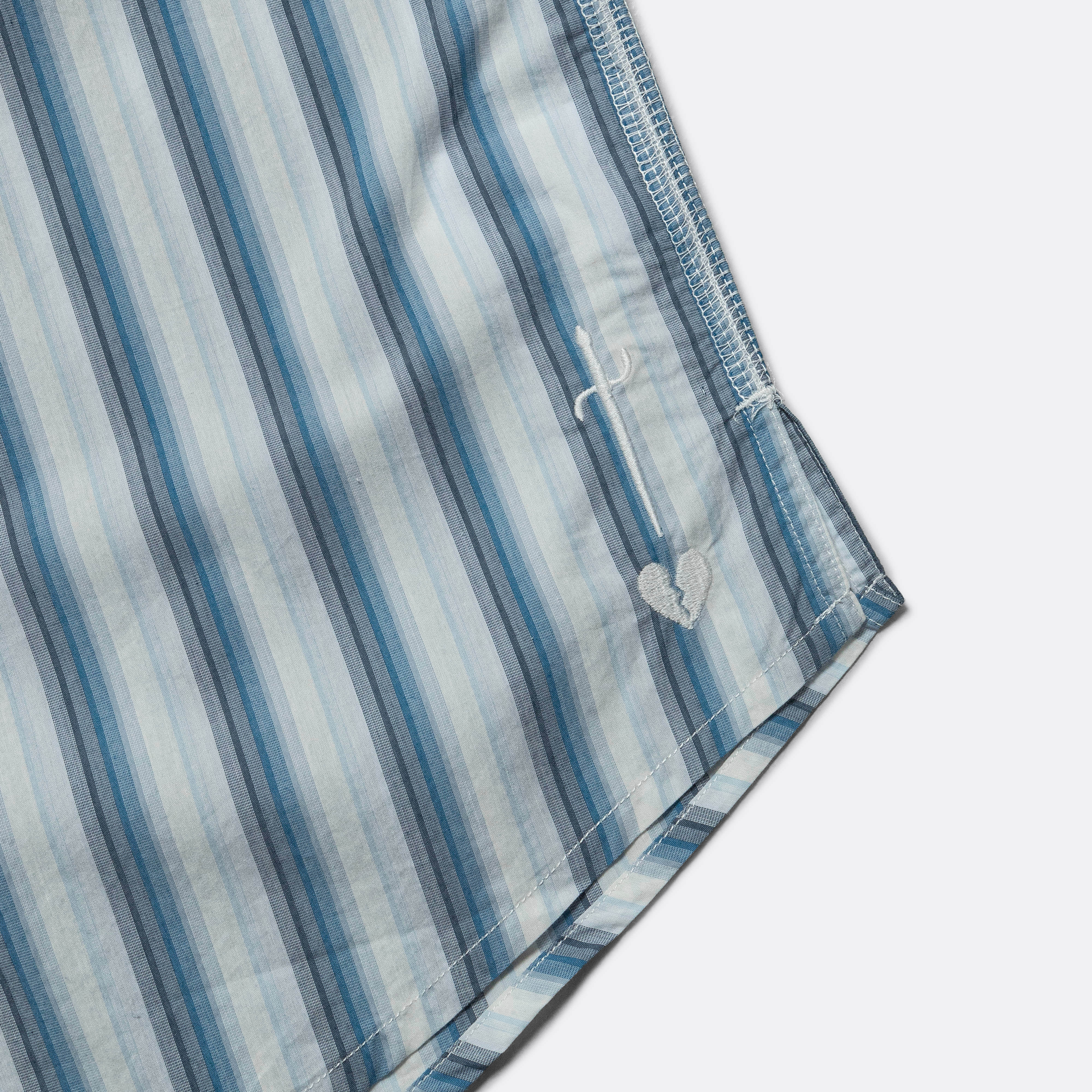 Beach Brains Big SS Shirt - Blue Stripe