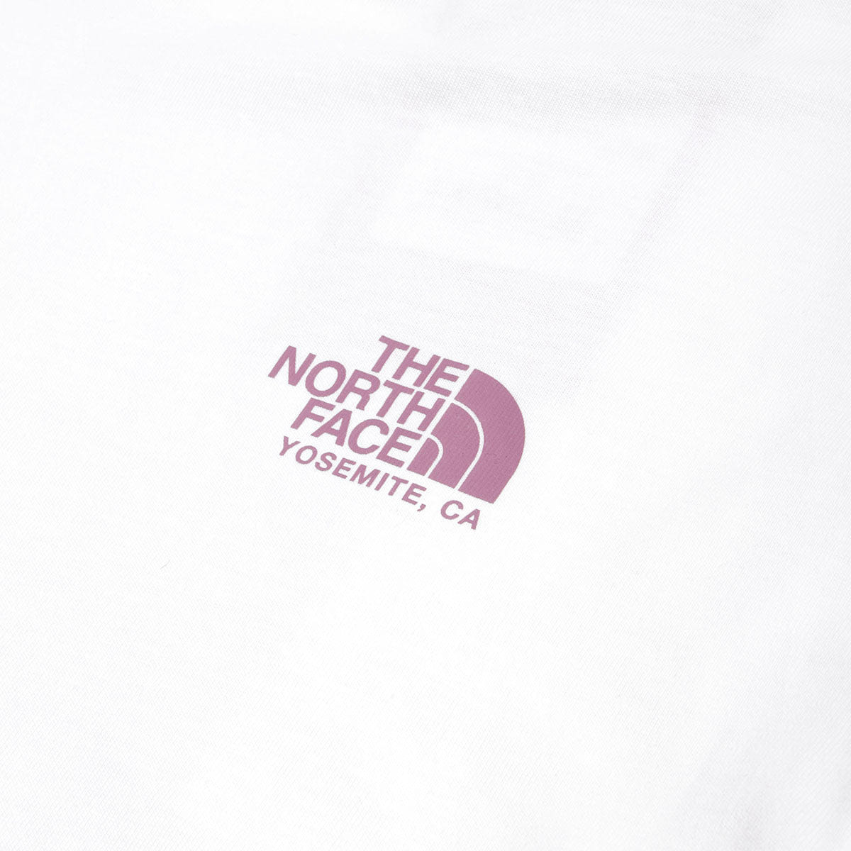 The North Face Plant & Flora Oversized Graphic T-Shirt