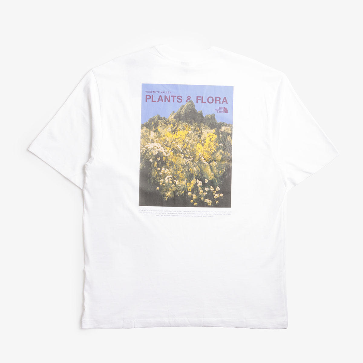 The North Face Plant & Flora Oversized Graphic T-Shirt