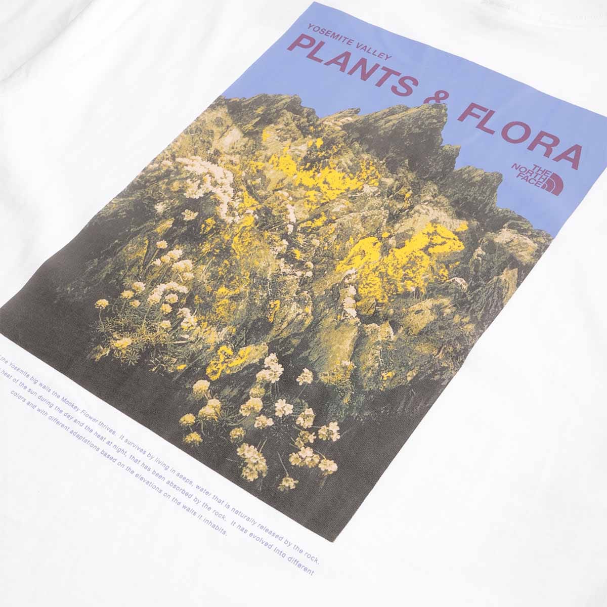 The North Face Plant & Flora Oversized Graphic T-Shirt