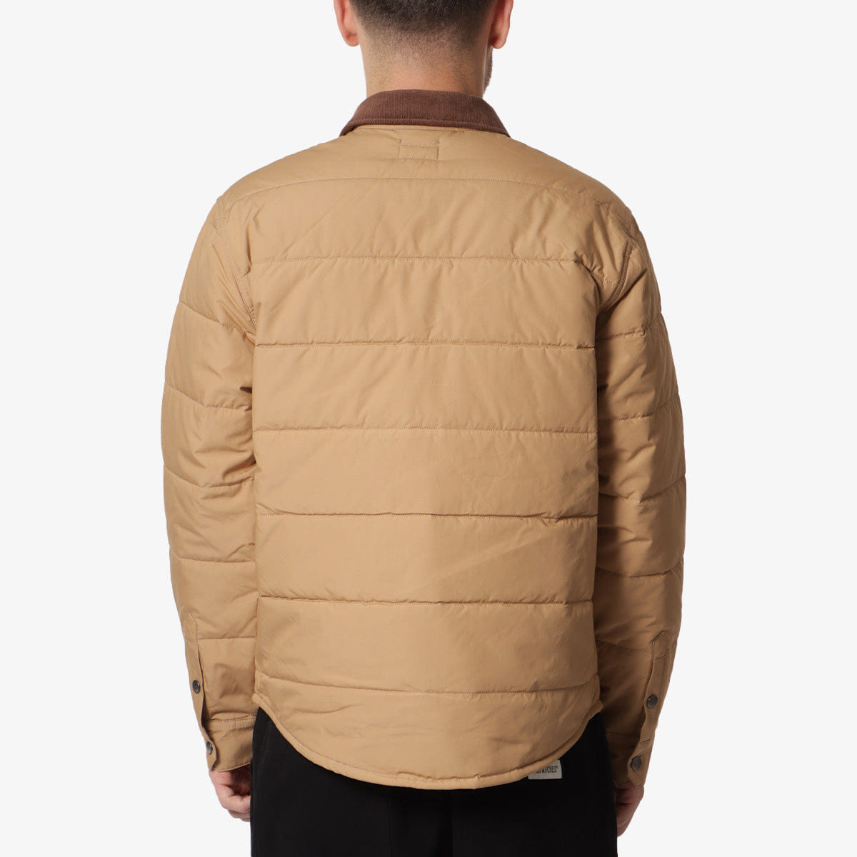 Brixton Cass Jacket