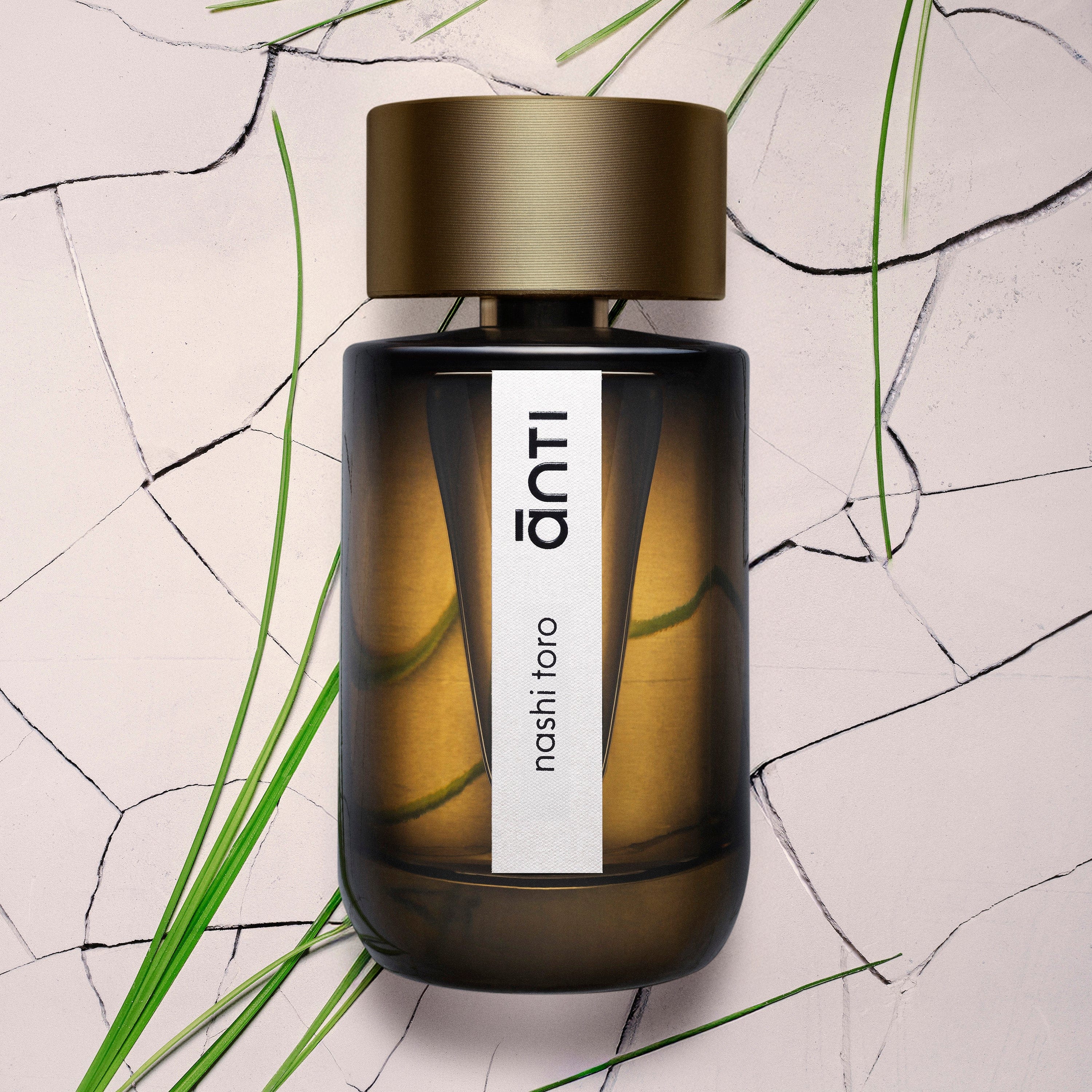 Anti Nashi Toro Eau de Parfum