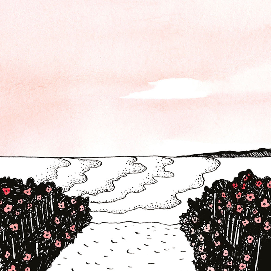 Une Nuit Nomade Rose America Eau de Parfum