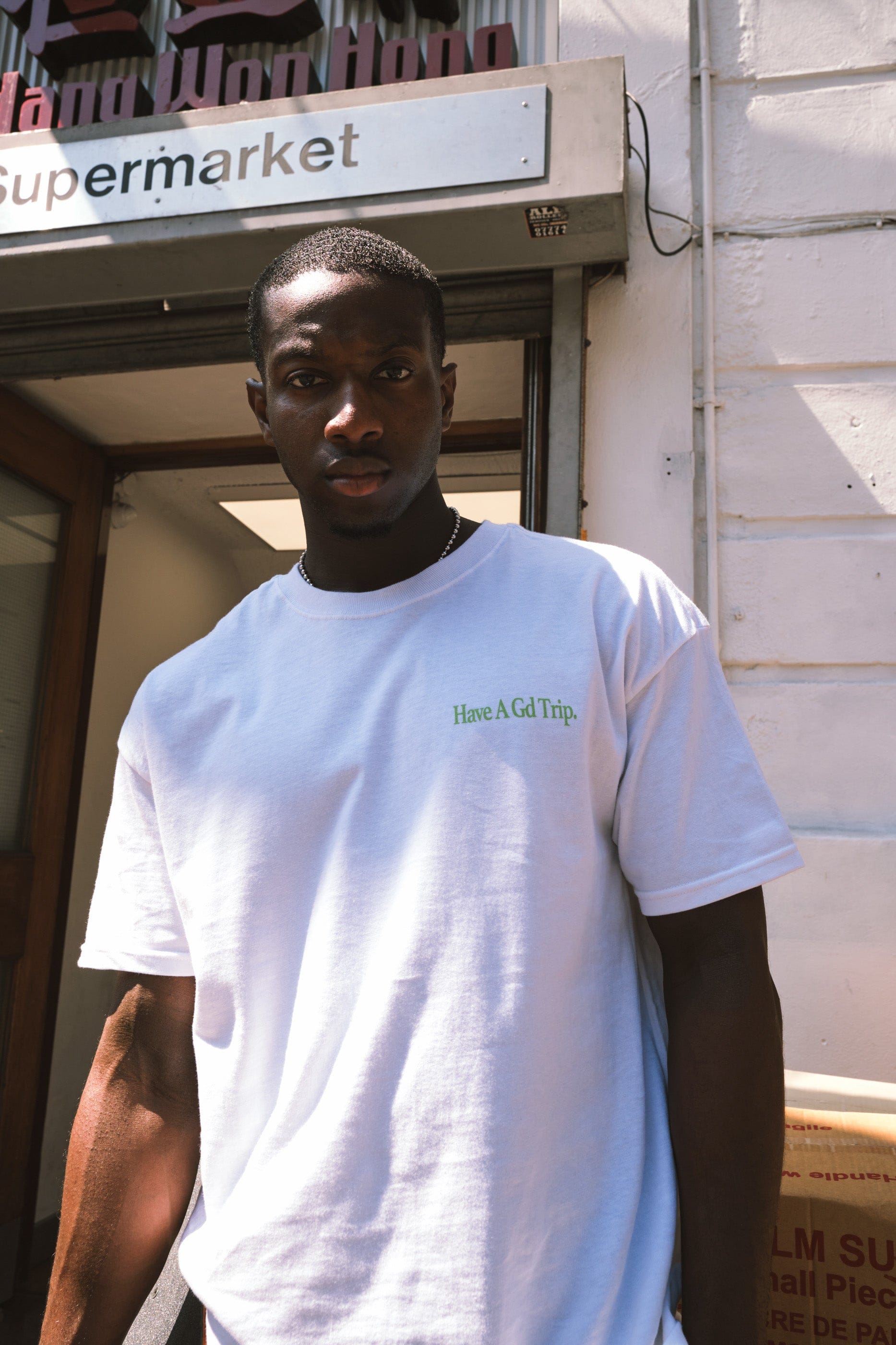HAVE A GD TRIP 'Learn to Fly' Tee - White