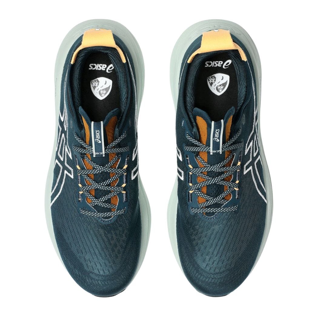 asics Gel-Nimbus 27 TR Men's Trail Running Shoes
