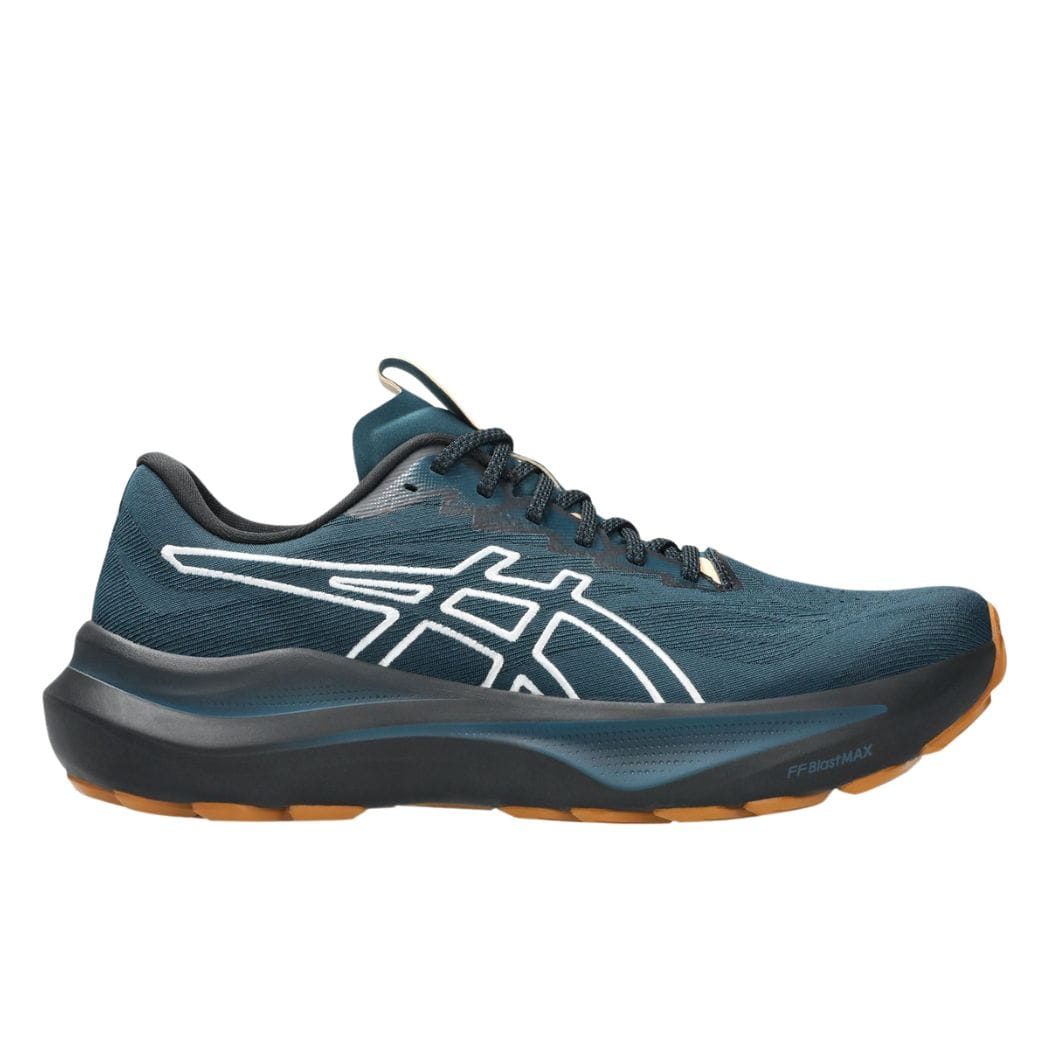 asics GT-2000 14 TR Men's Trail Running Shoes
