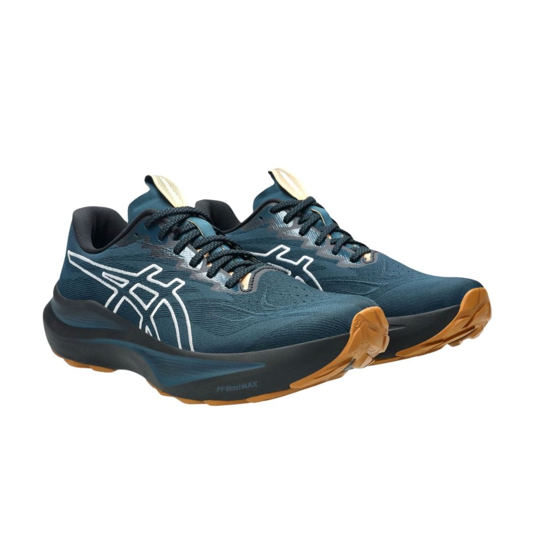 asics GT-2000 14 TR Men's Trail Running Shoes