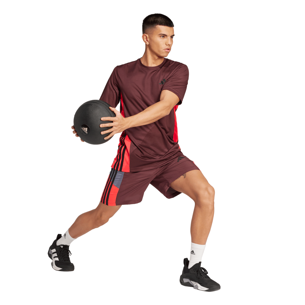 adidas Train Essentials Seasonal Colorblock Men's Tee