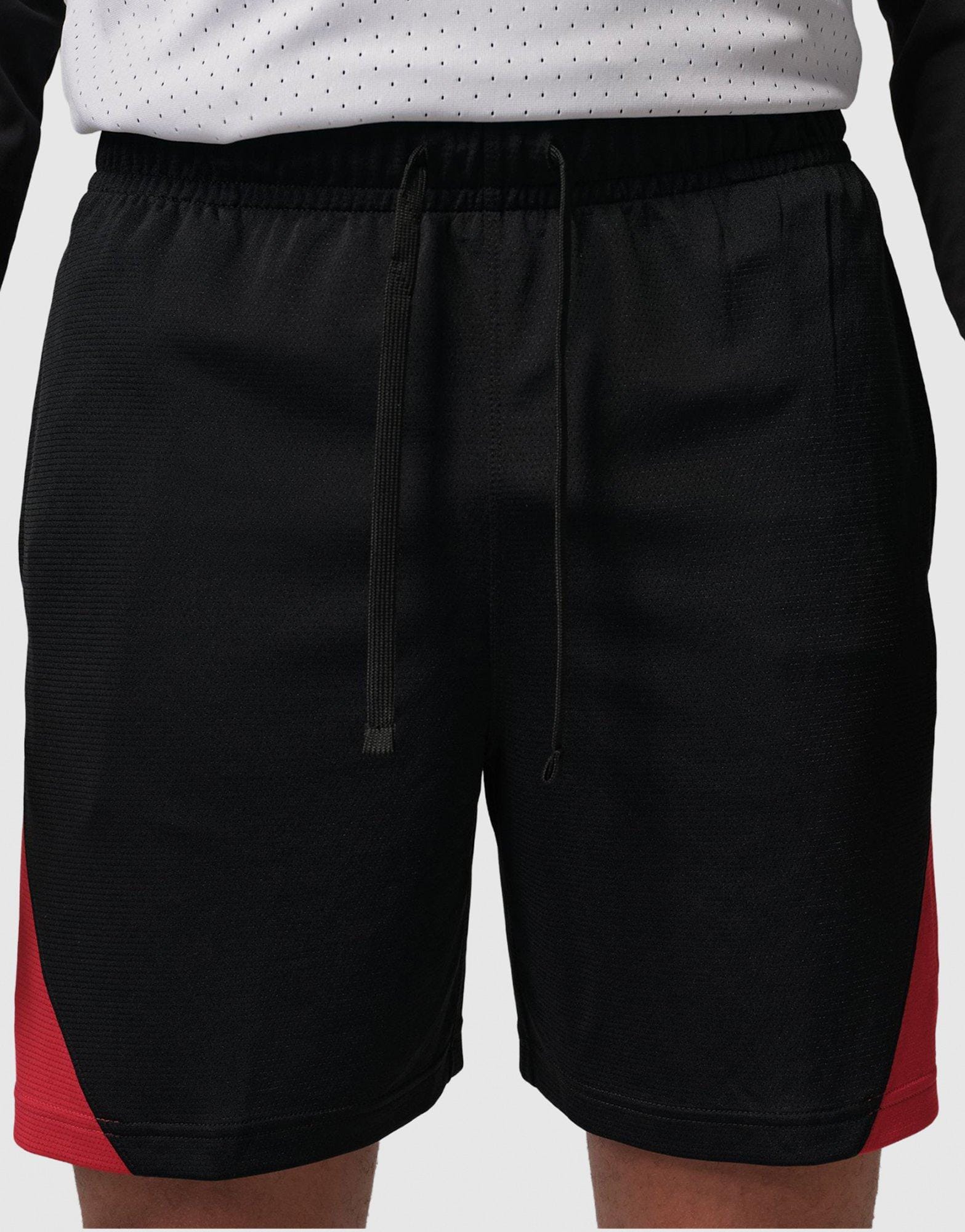 Air Jordan Sport Shorts