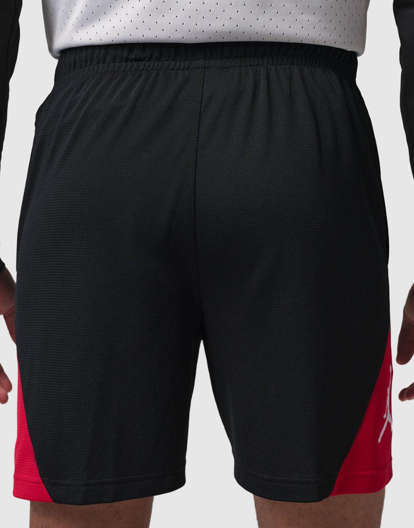 Air Jordan Sport Shorts