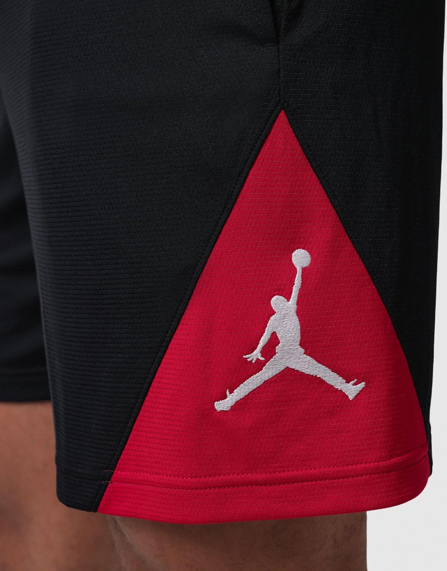 Air Jordan Sport Shorts