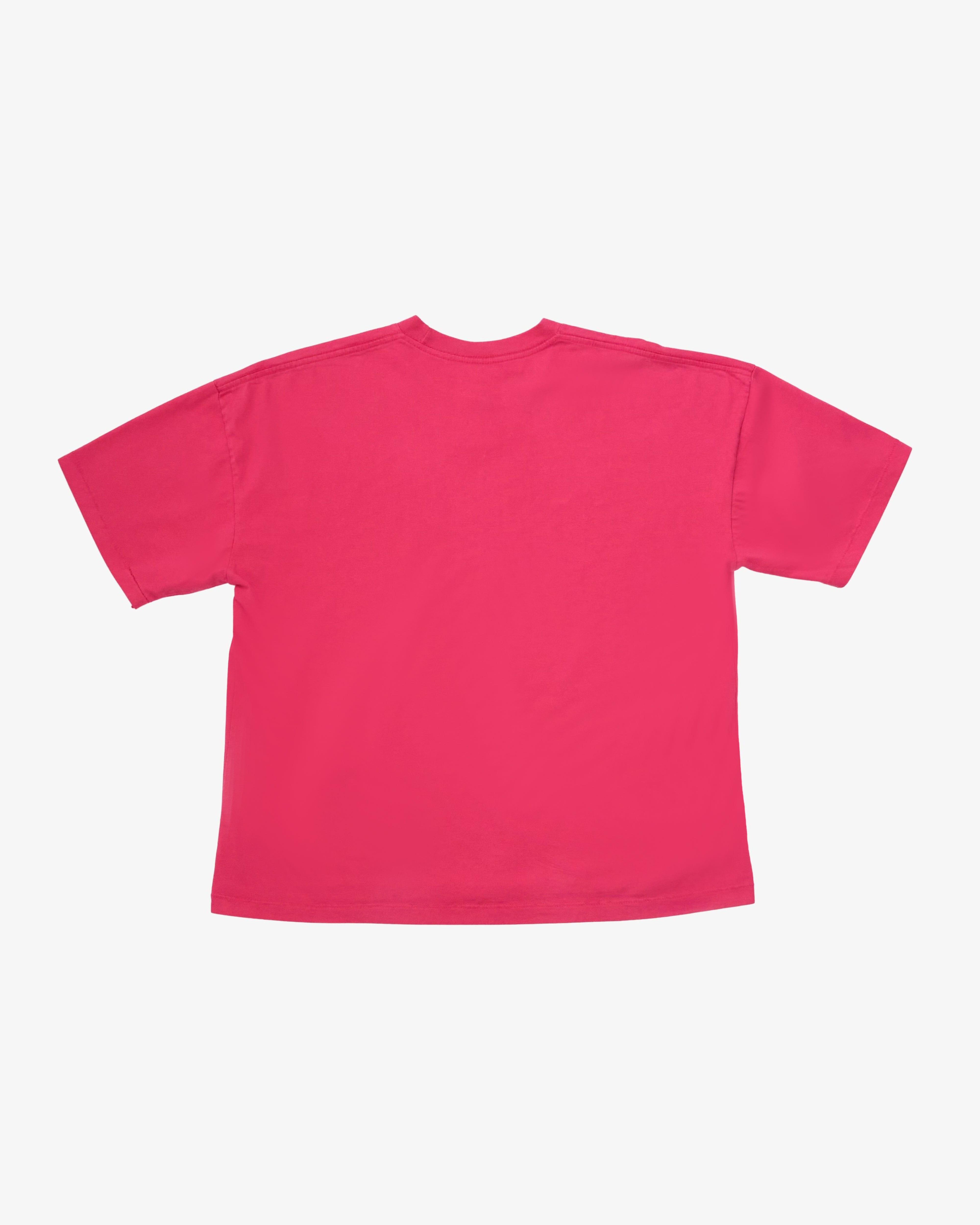 THE SALVAGES - Men's Lydia 1988 Tshirt - (Vintage Washed Pink)