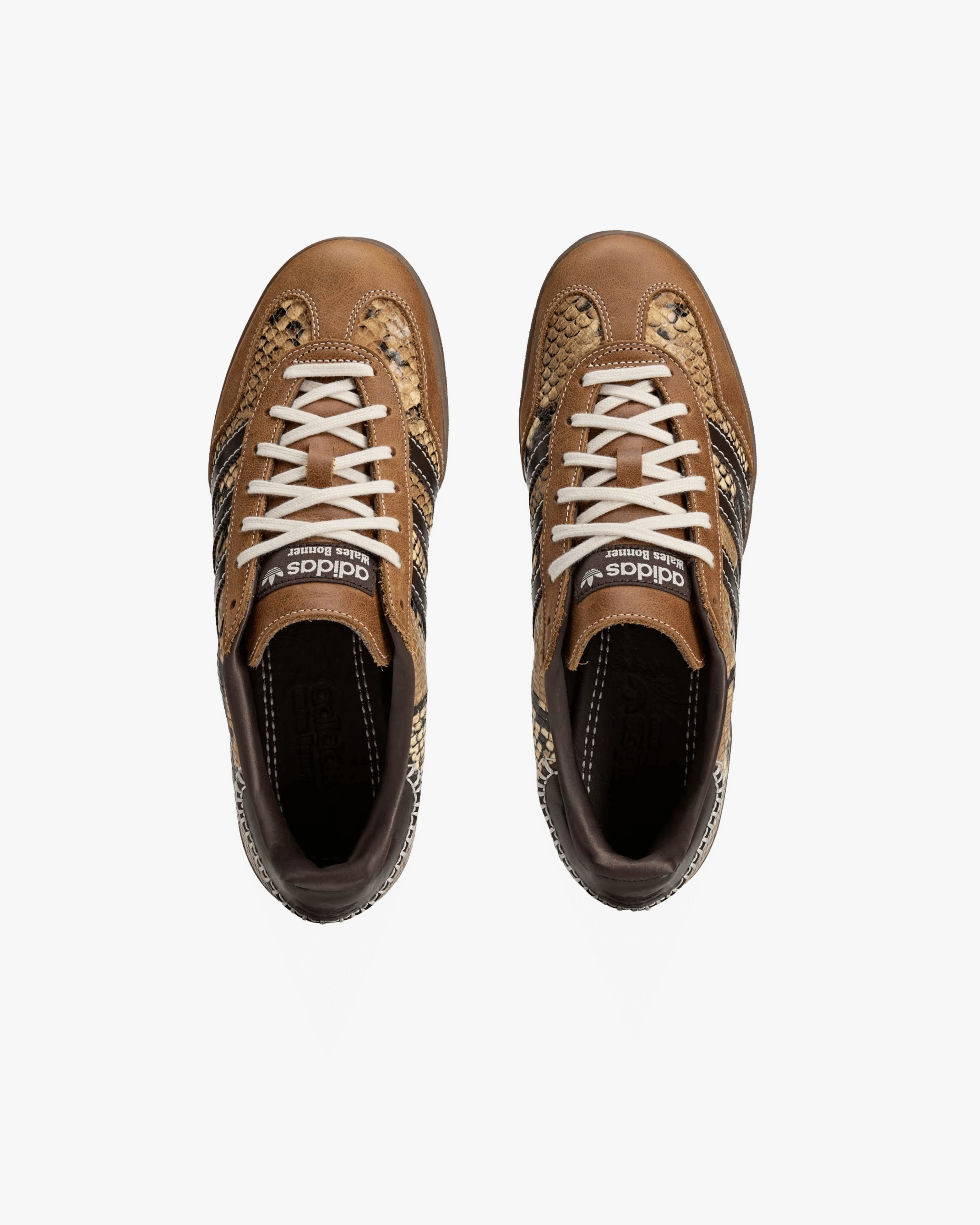 Adidas - Men's Wales Bonner Gazelle Snake - (Multi