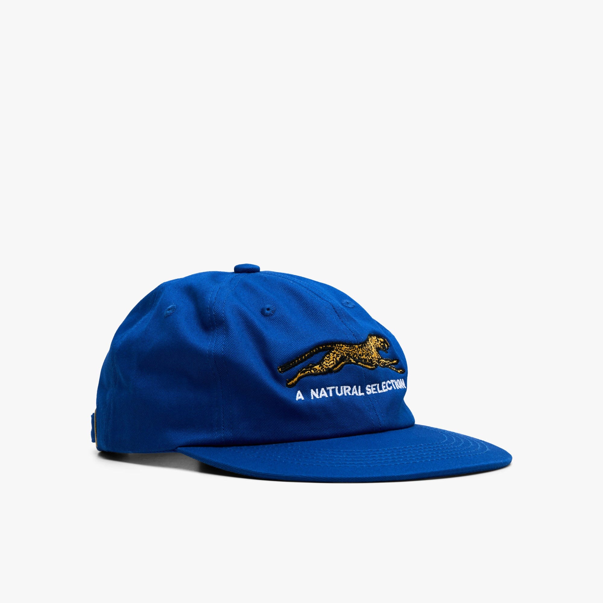 Brother Brother Natural Technicolor Selection Cap / Royal