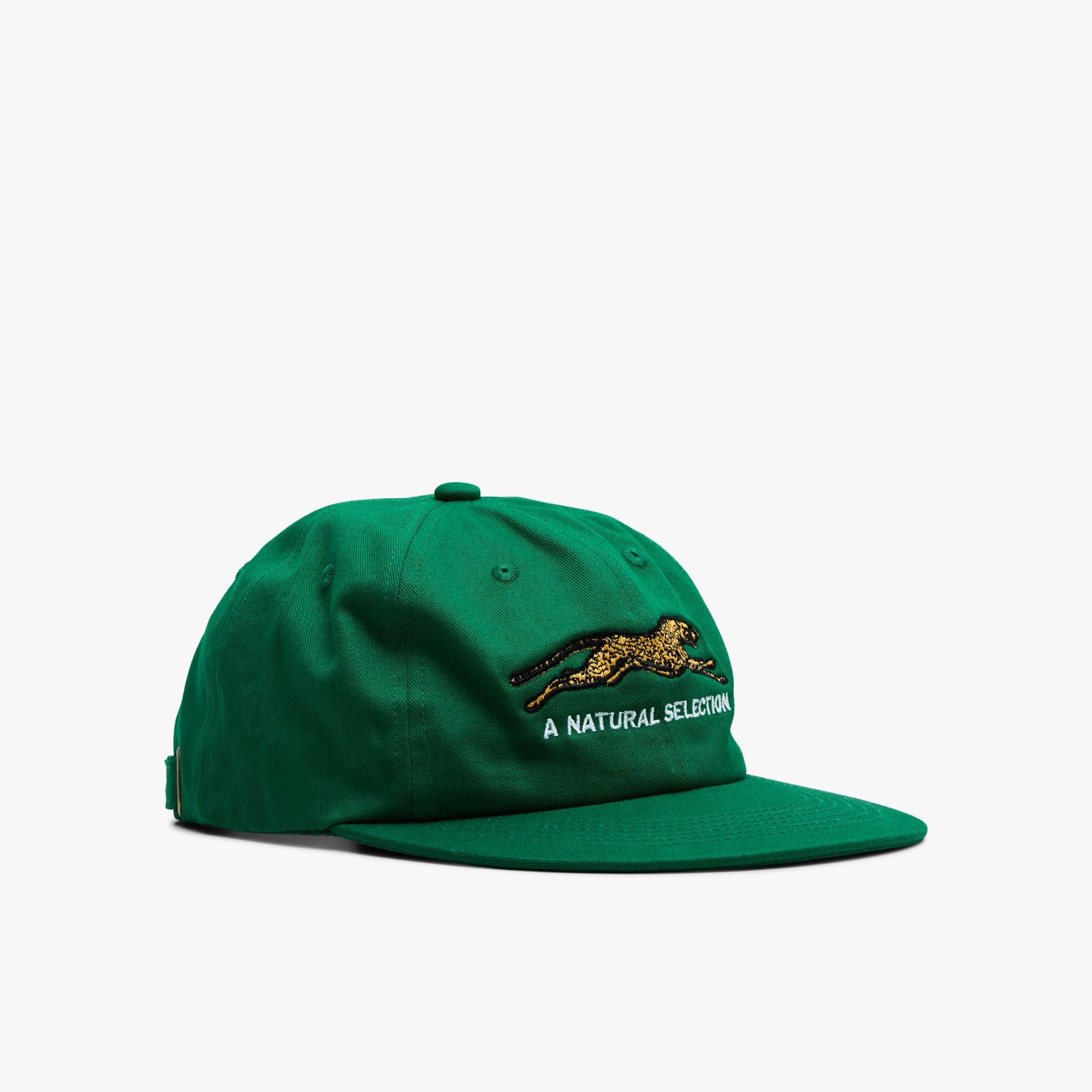 Brother Brother Natural Technicolor Selection Cap / Pine Green