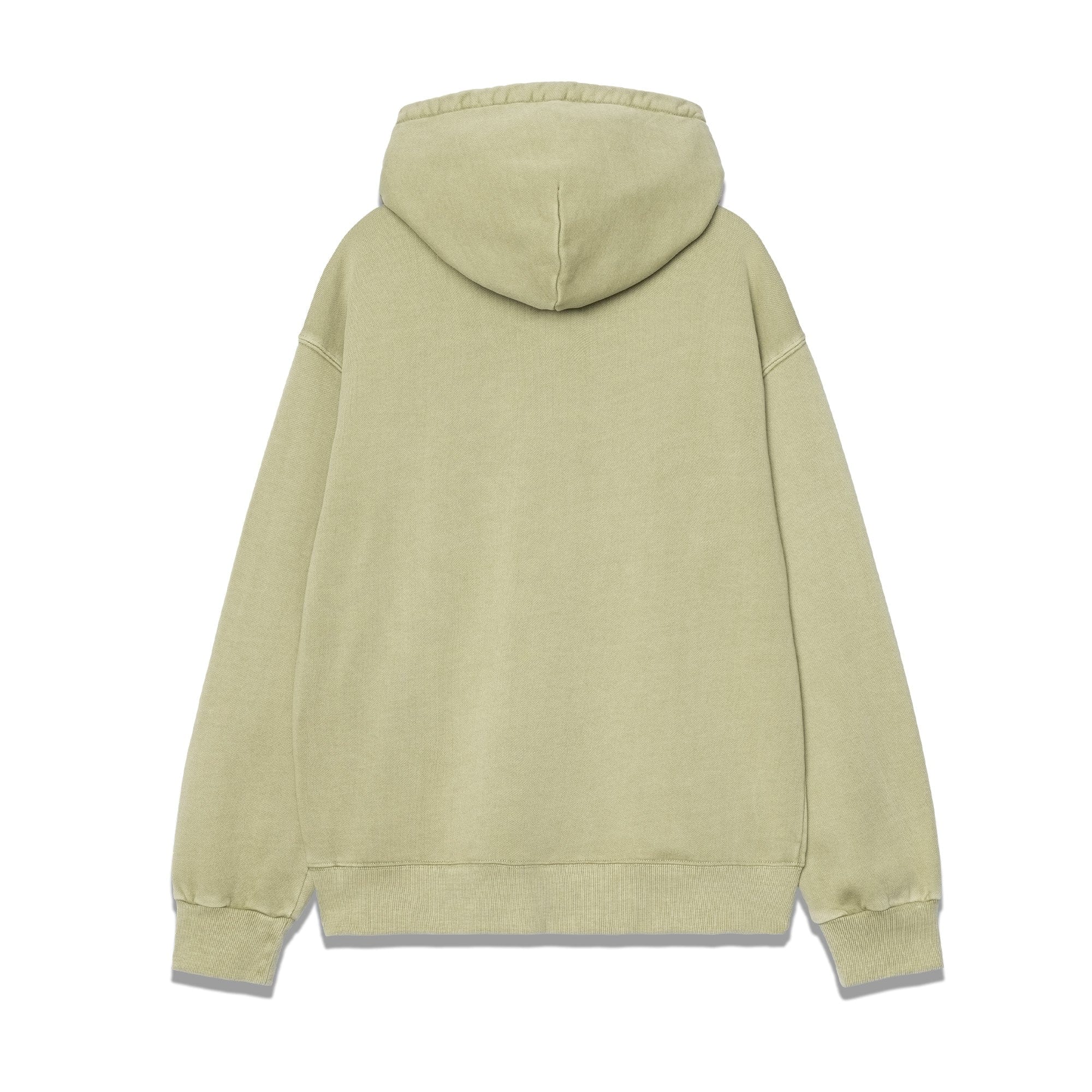 Carhartt WIP Hooded Nelson Sweatshirt Gentle Green I029963