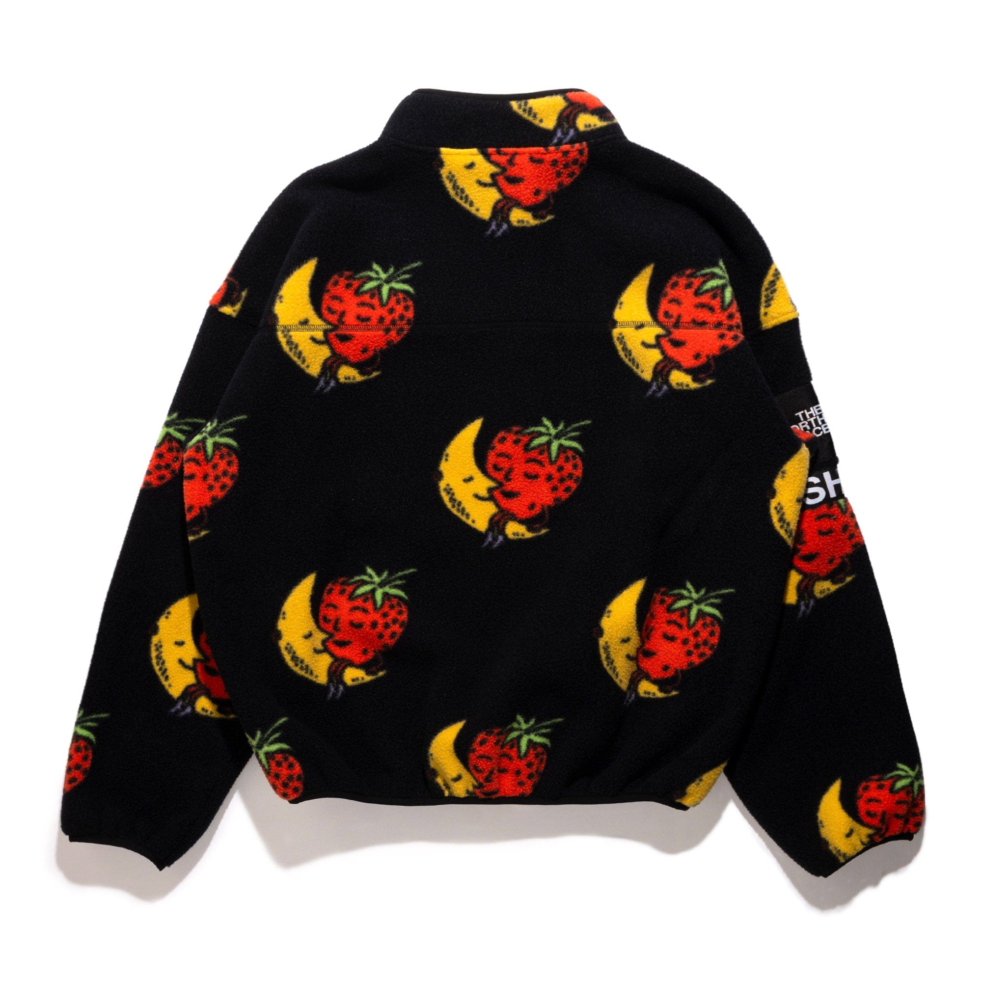 The North Face TNF x SHF Fleece 1/2 Zip Pullover Multi NF0A8HNB