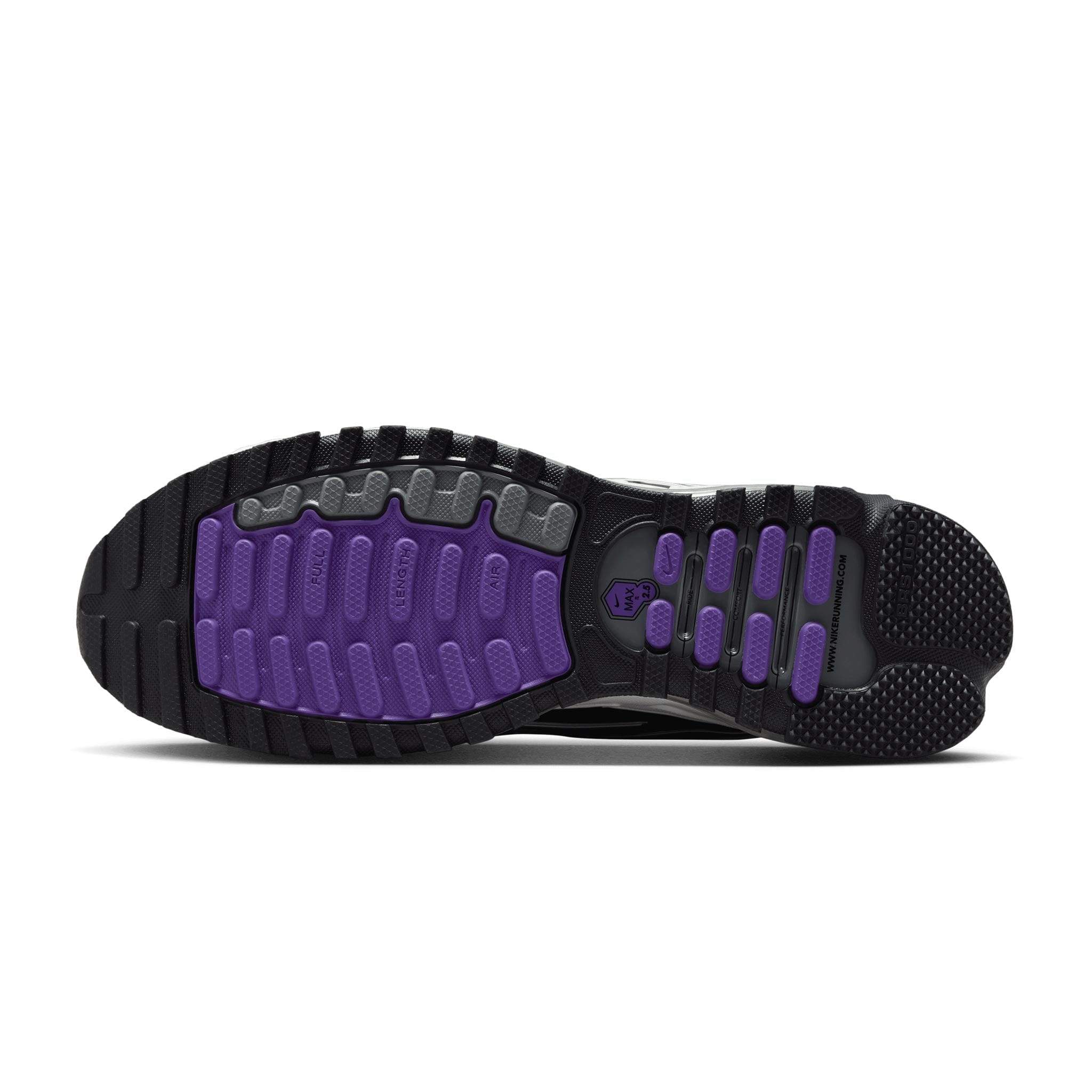 Nike Air Max TL 2.5 WILD GRAPE FZ4110-105