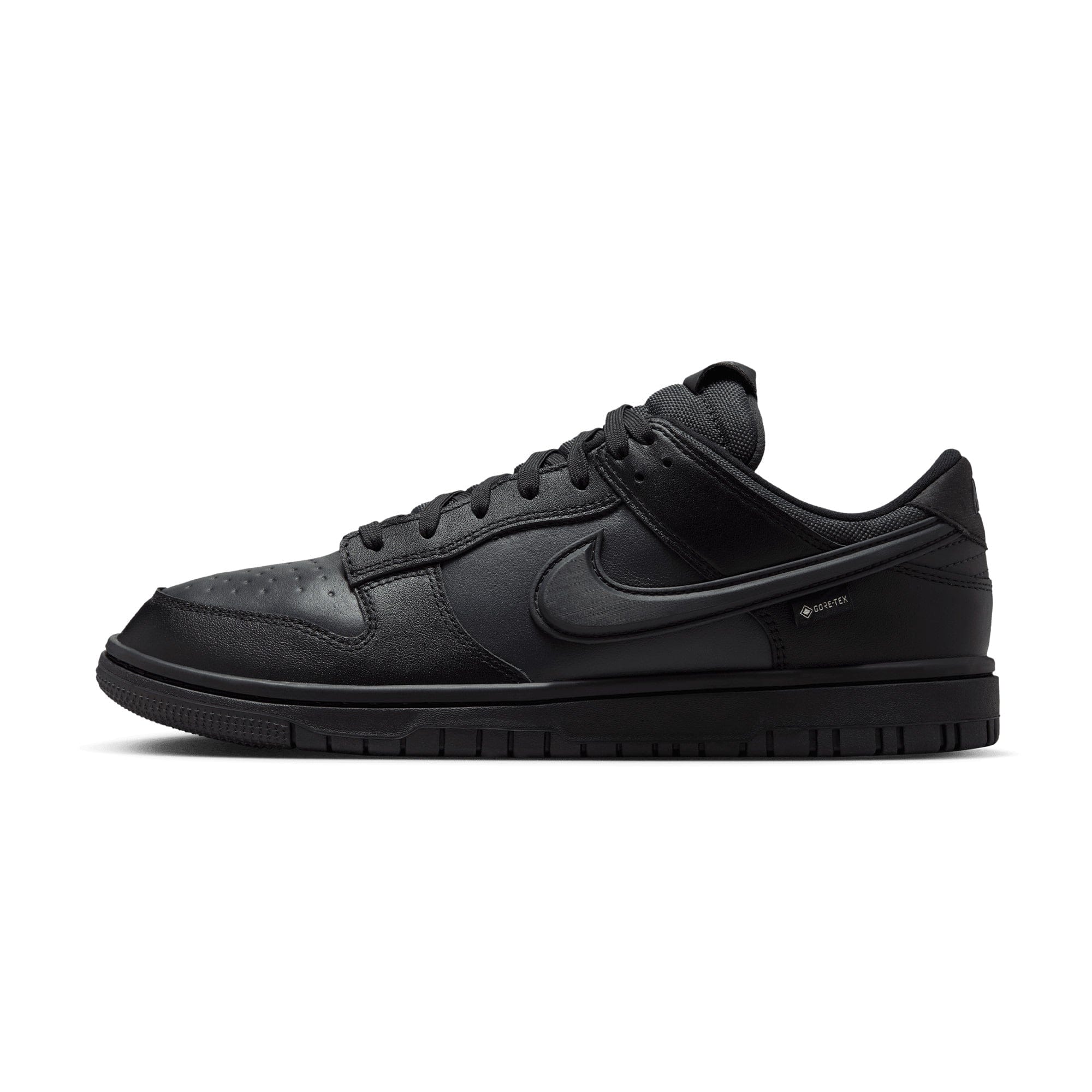 Nike Dunk Low GORE-TEX BLACK HQ2053-001