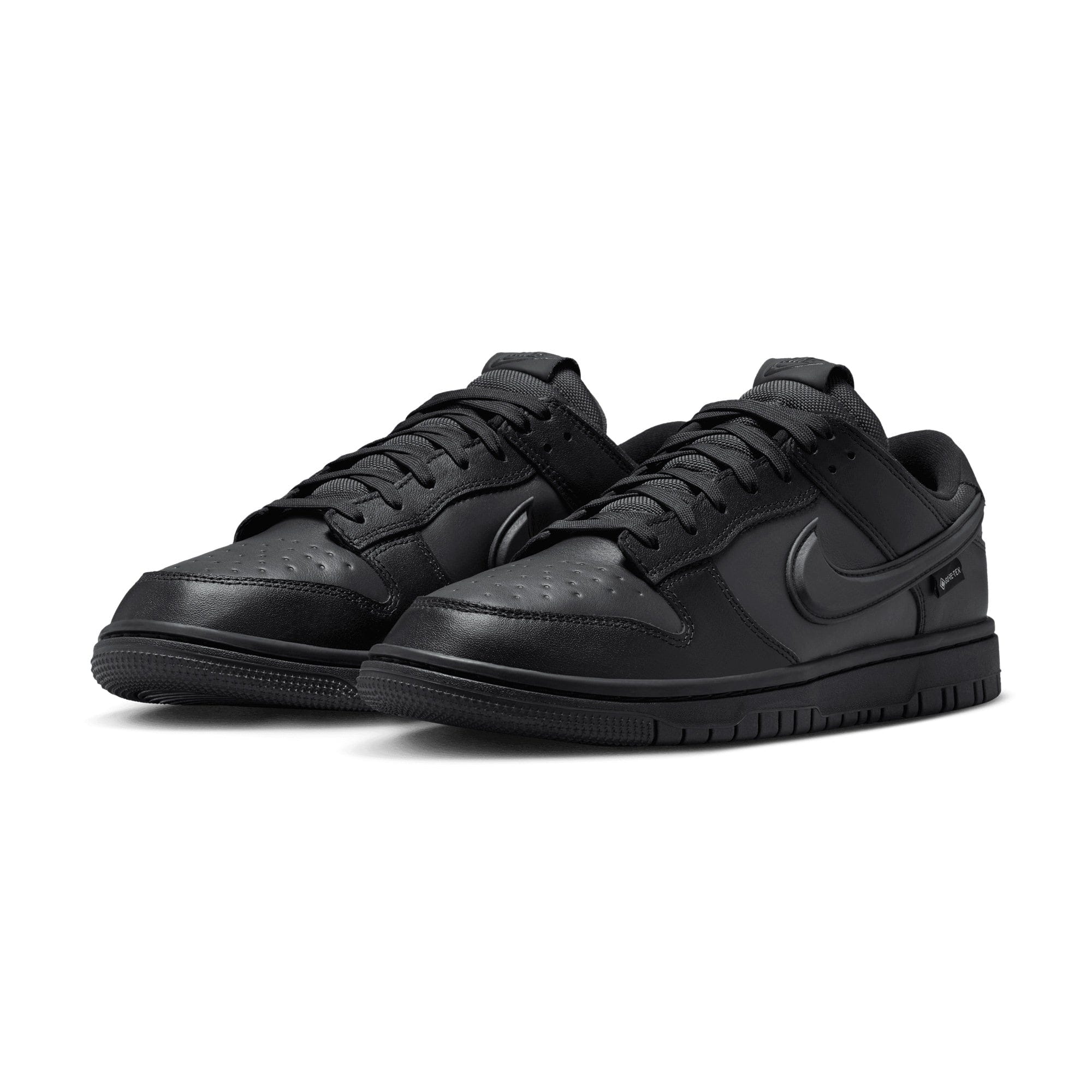 Nike Dunk Low GORE-TEX BLACK HQ2053-001