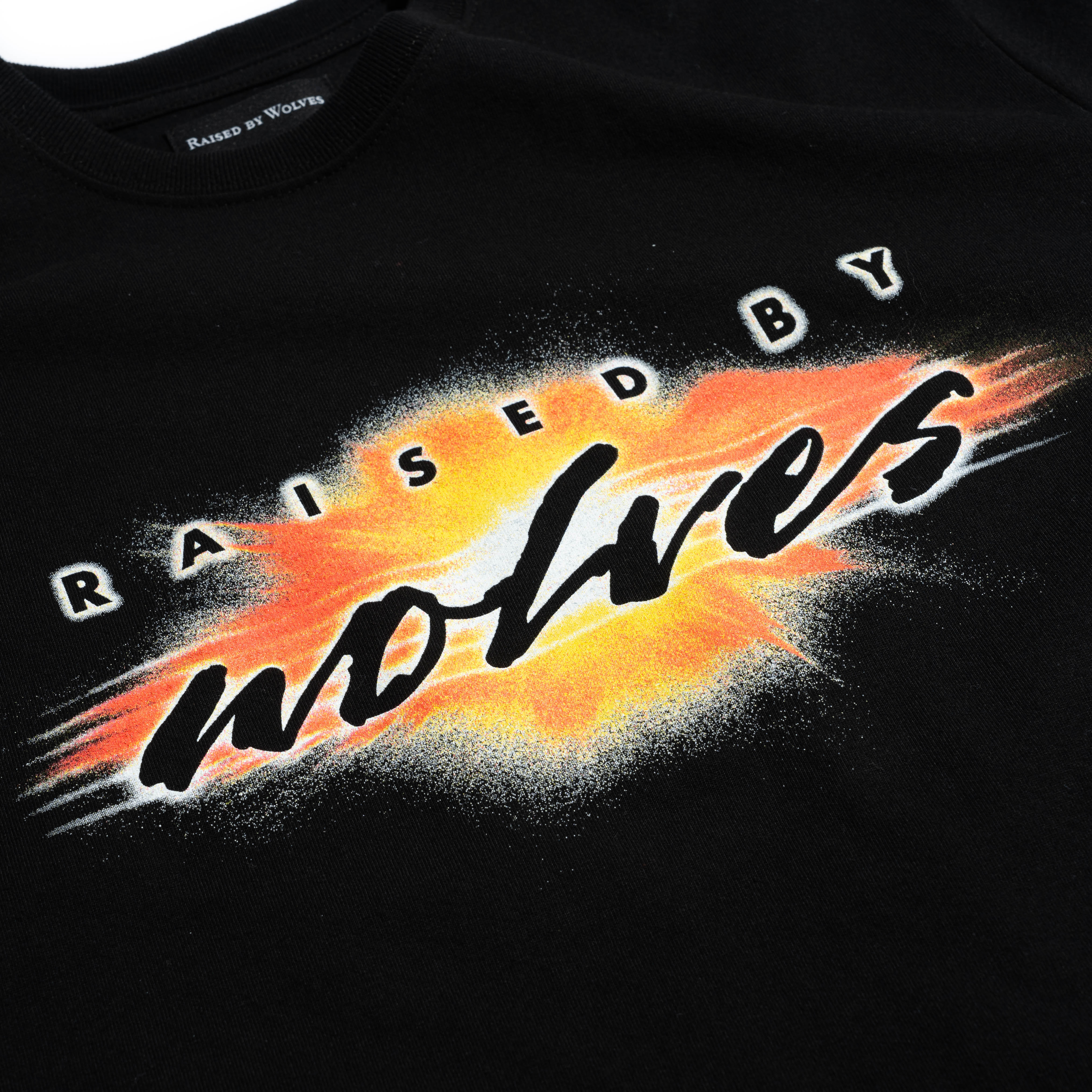 Raised By Wolves RBW Mysteries Tee Black RBWSS25505