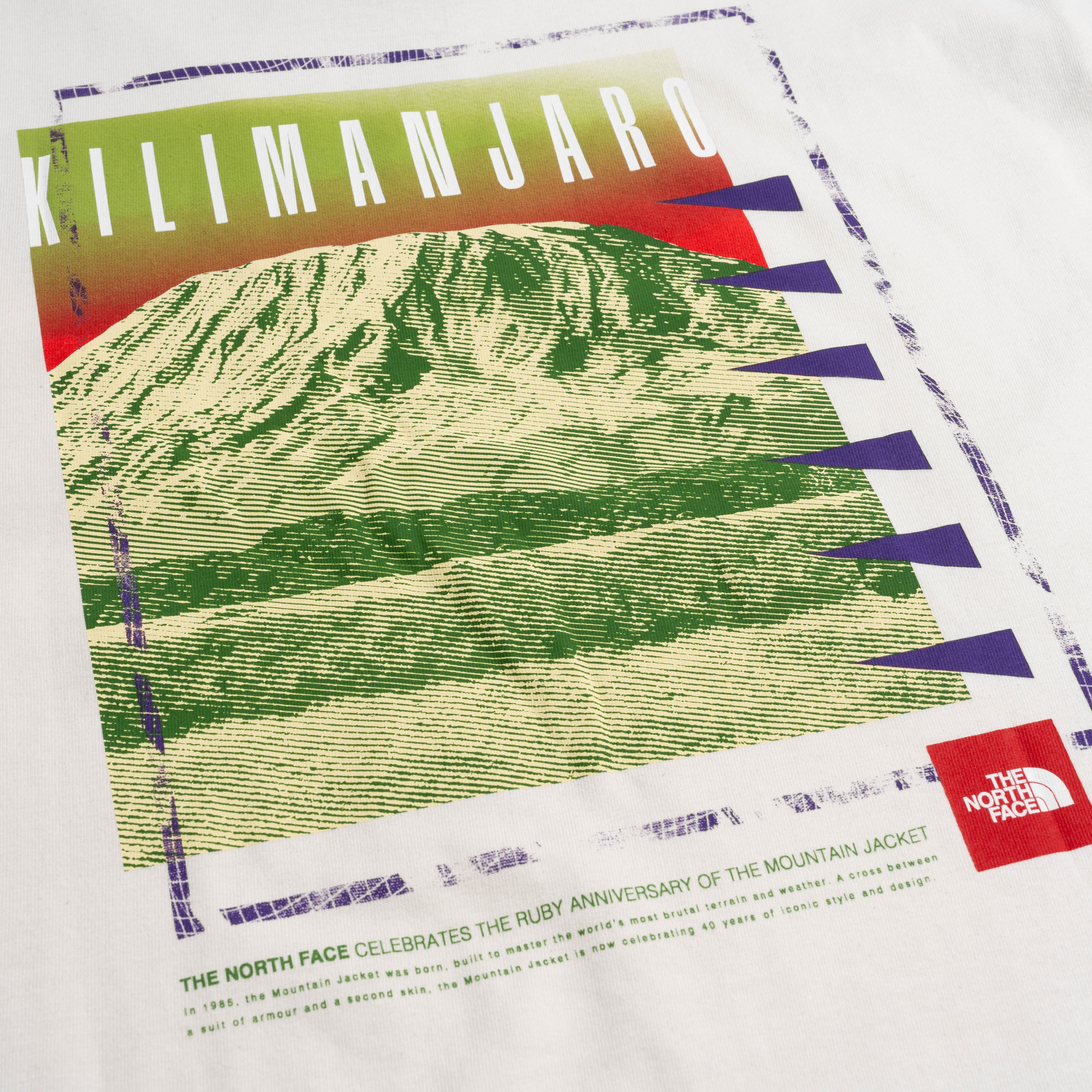 The North Face TNF Red Box Kilimanja Tee White Dune NF0A8C4MQLI1