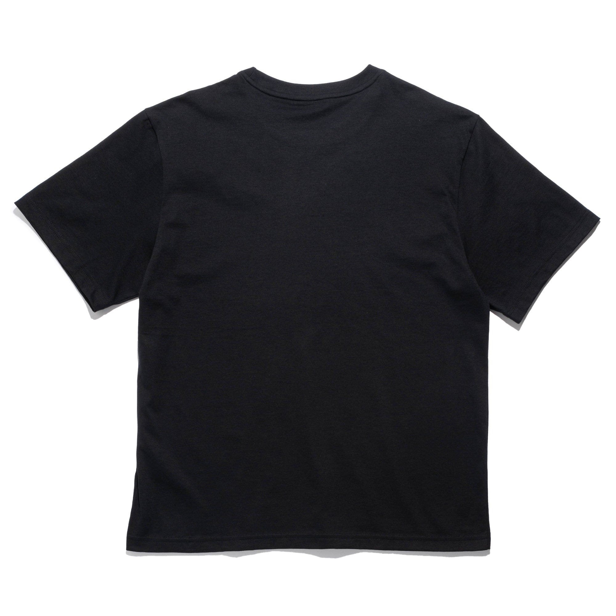 The North Face TNF Evolution Tee Black NF0A8B6MJK31